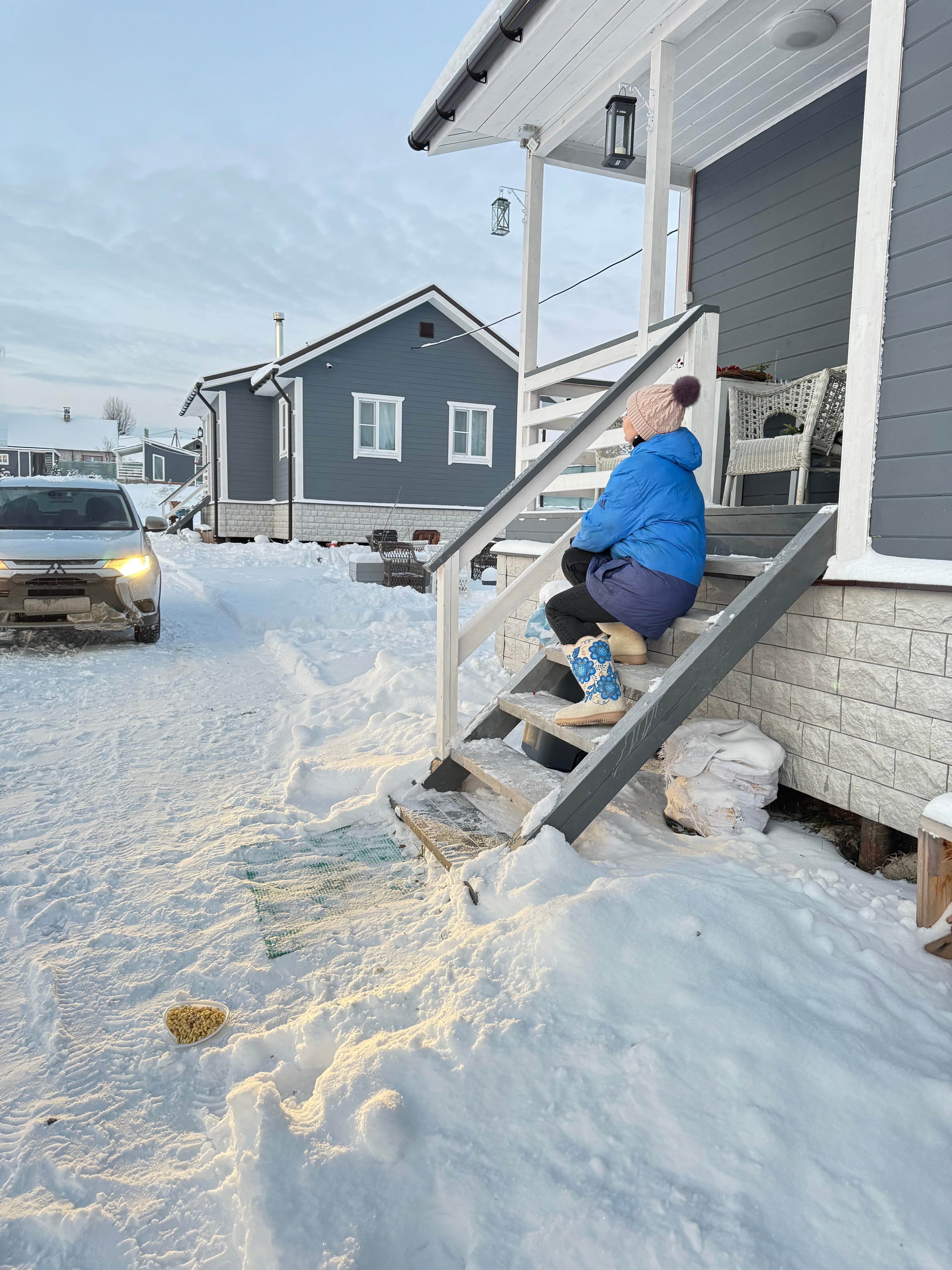 Фото Утиная история