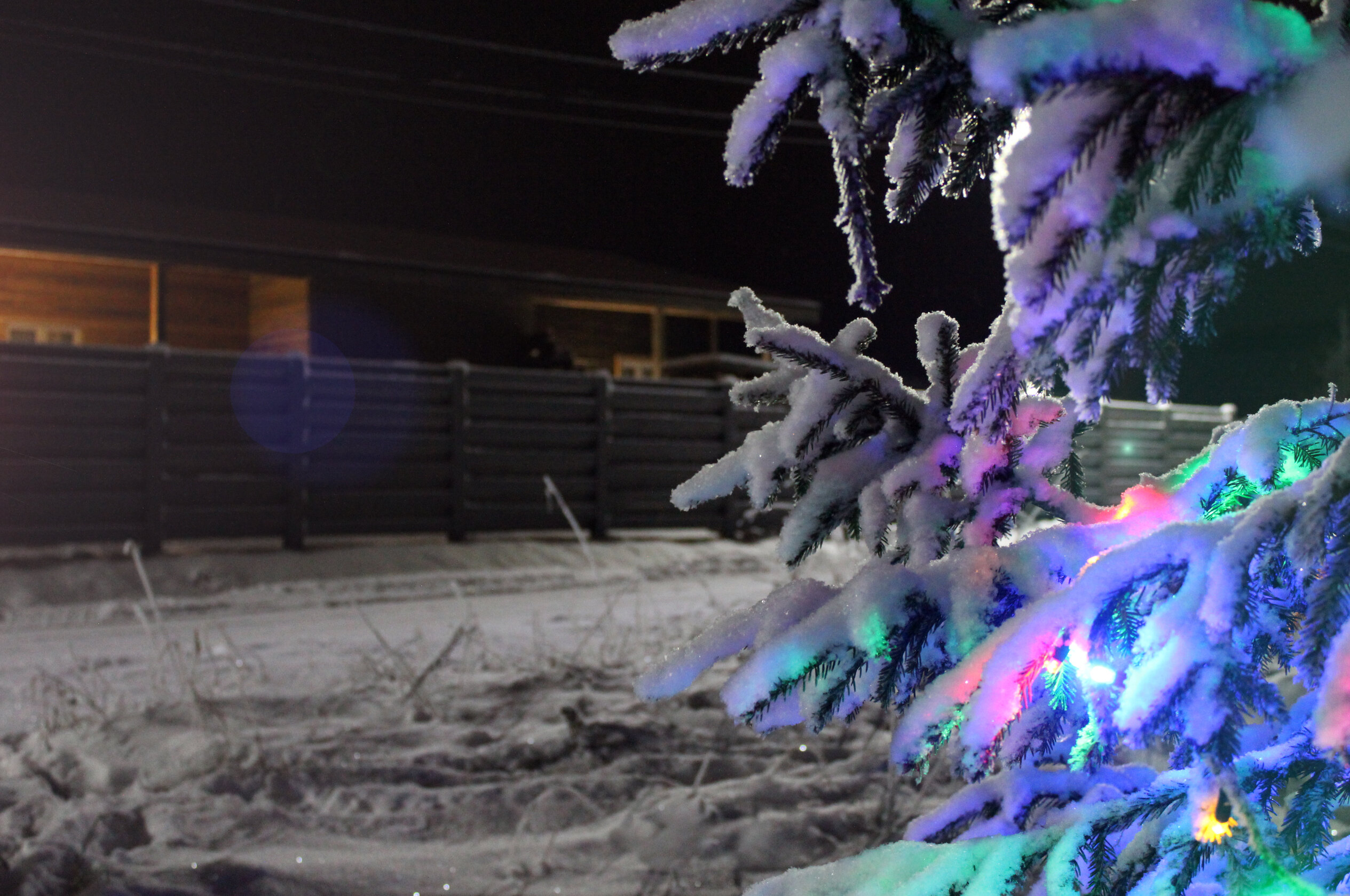 Фото Гнездо