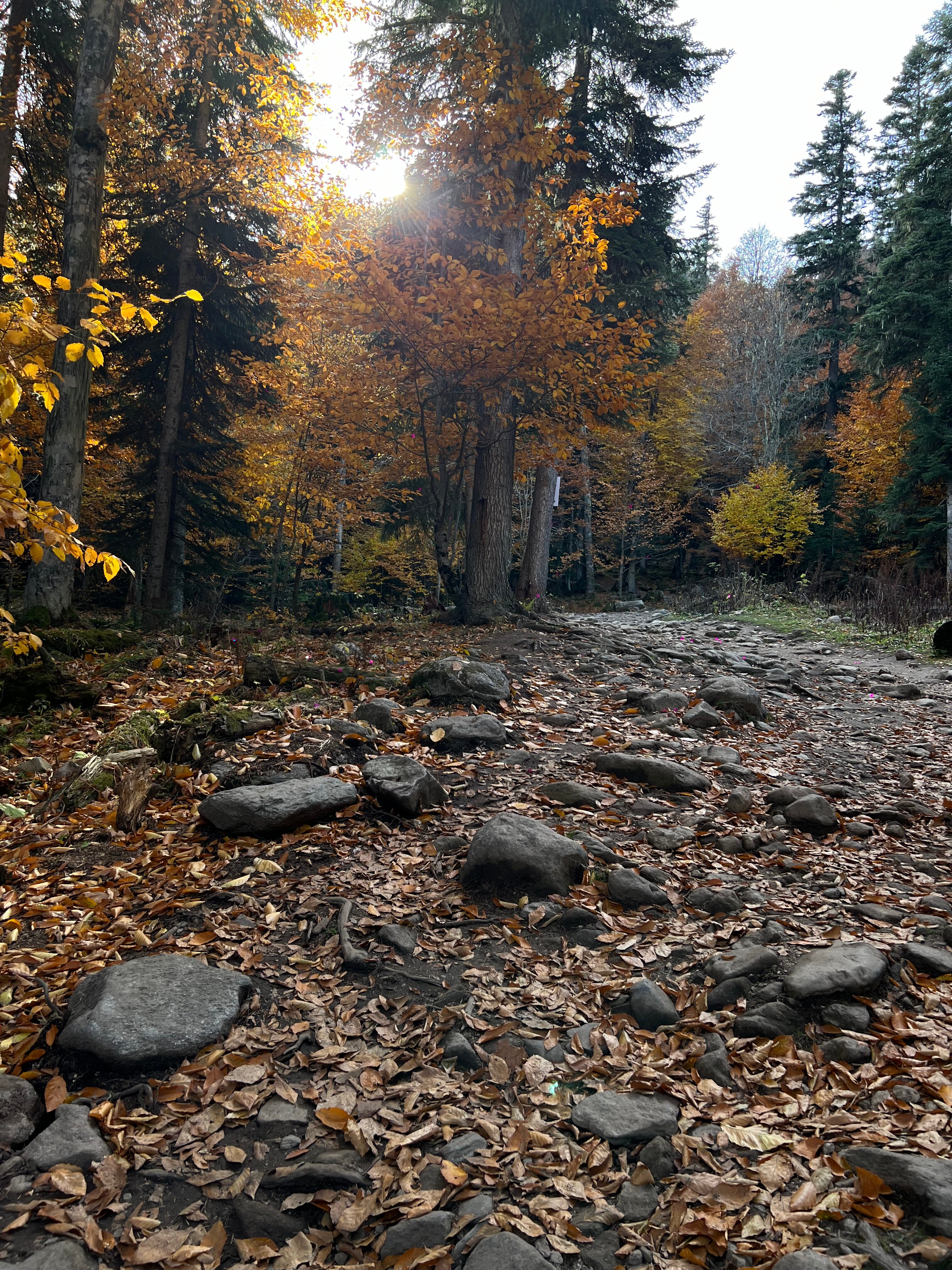 Фото Тебриз