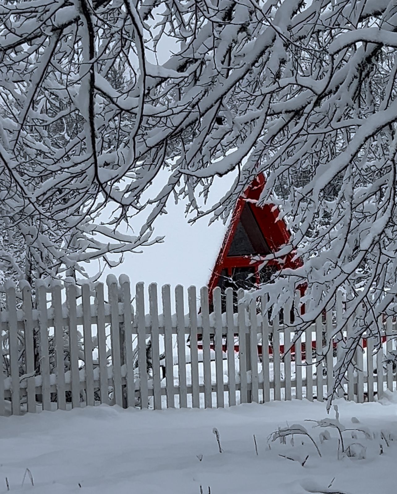 Фото Алтун Хом