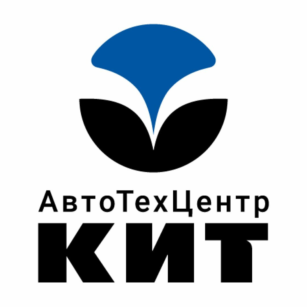 Кит