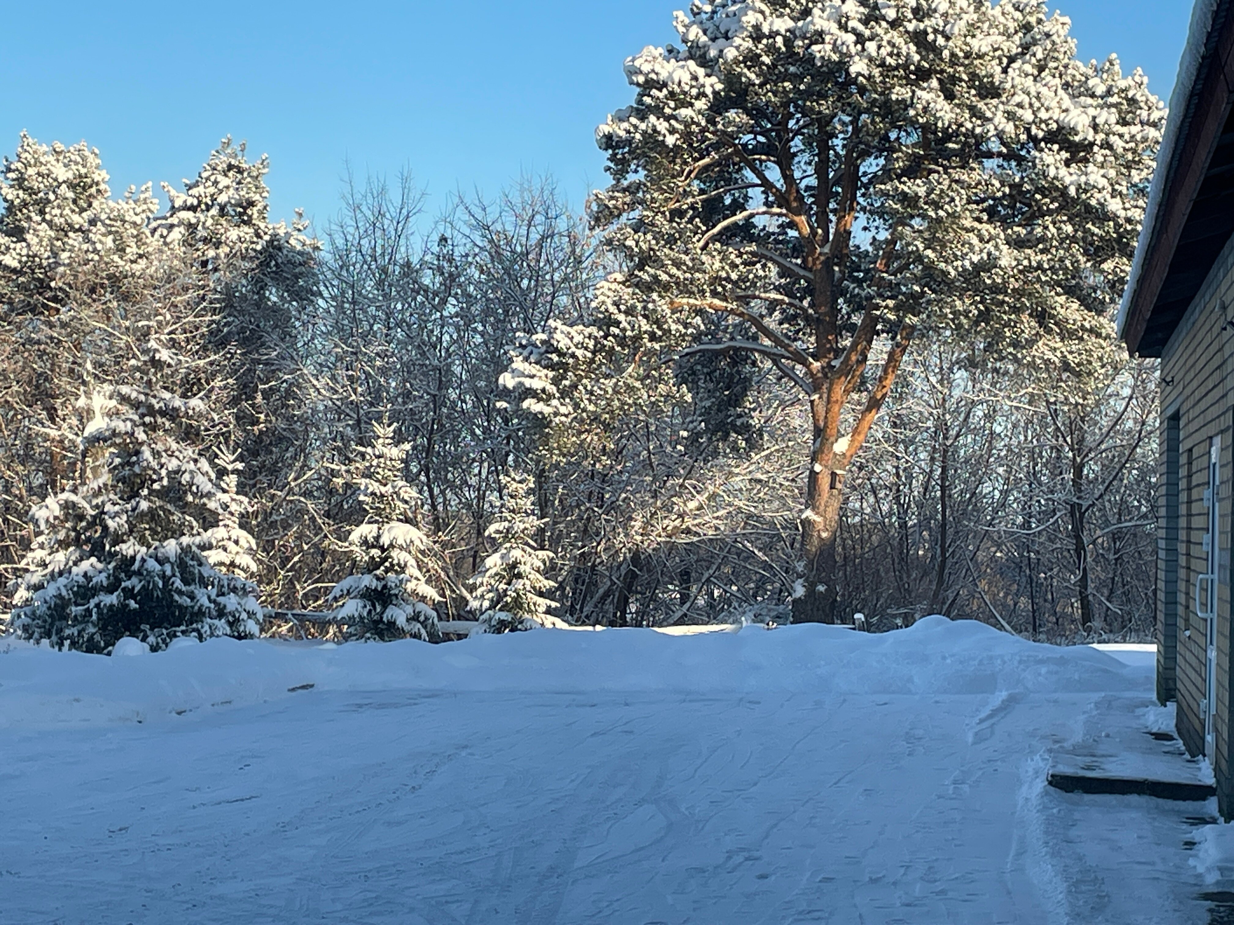 Фото Студия 23