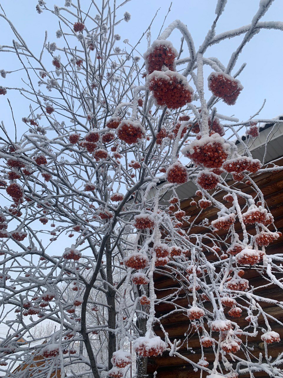 Фото Княжий двор