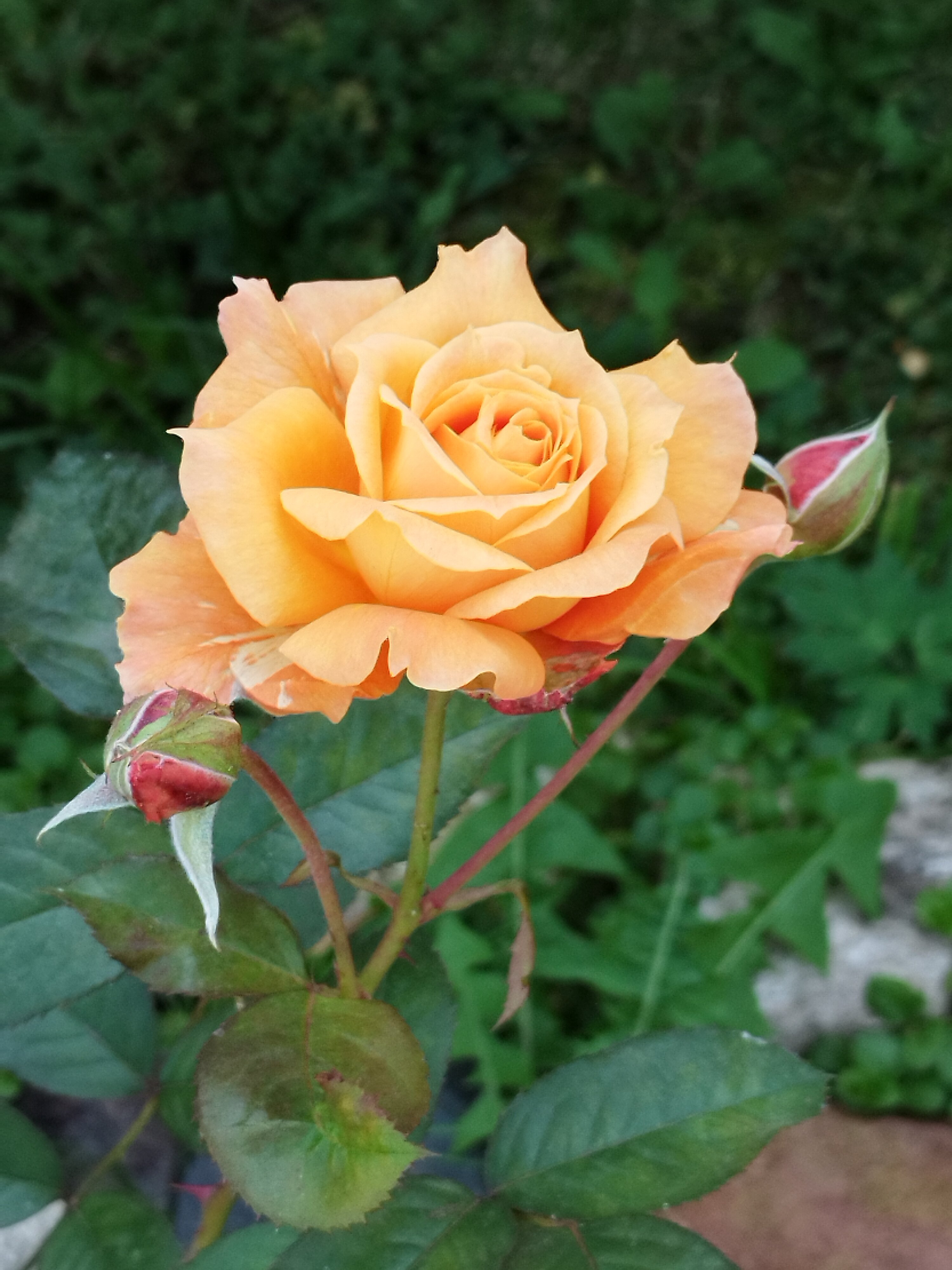 Фото Дом с баней