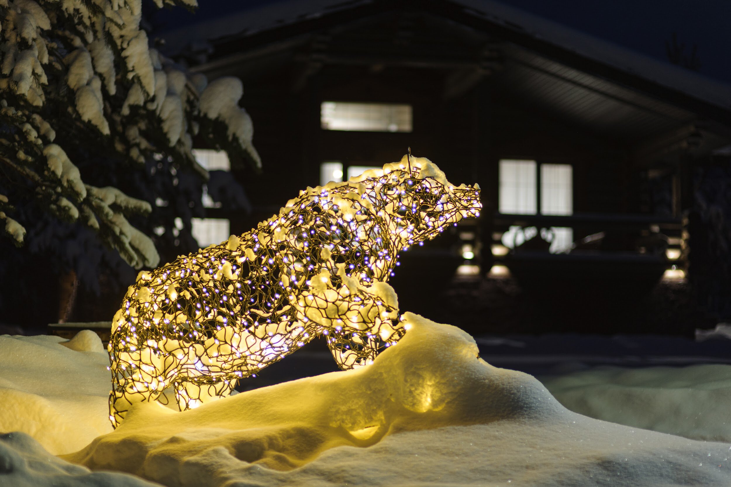 Фото Заповедное