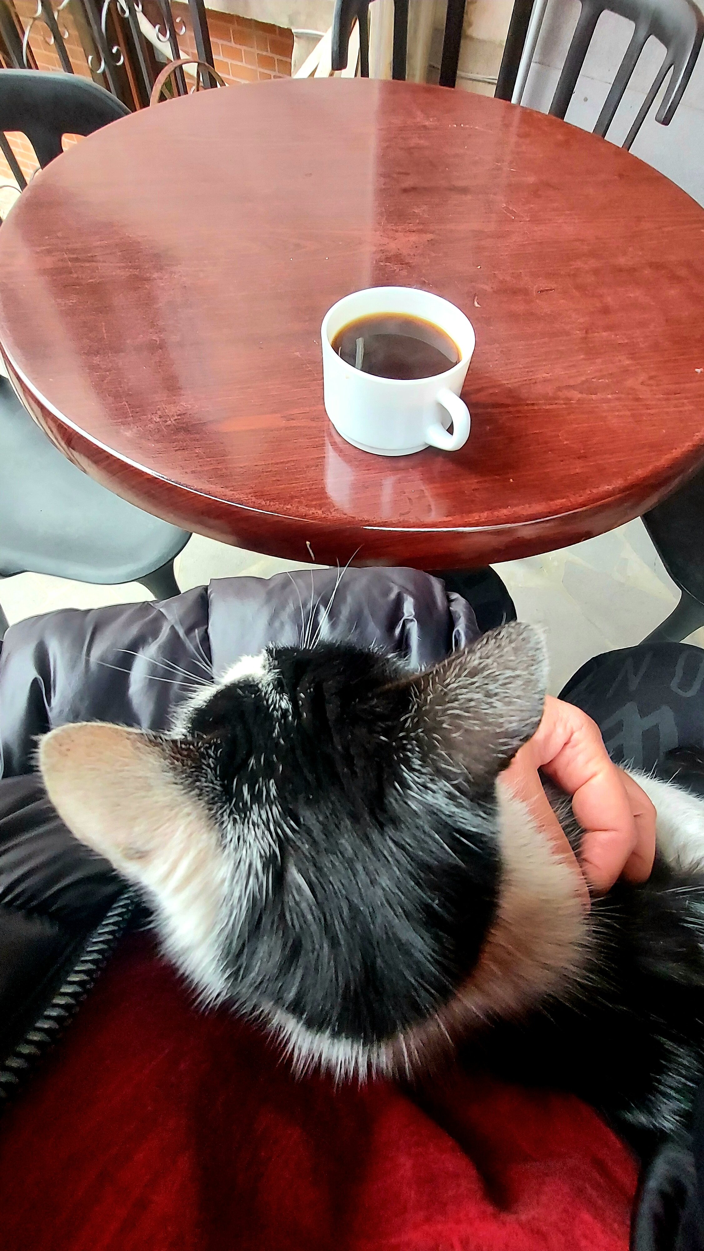 Фото Aspar Boutique Hotel