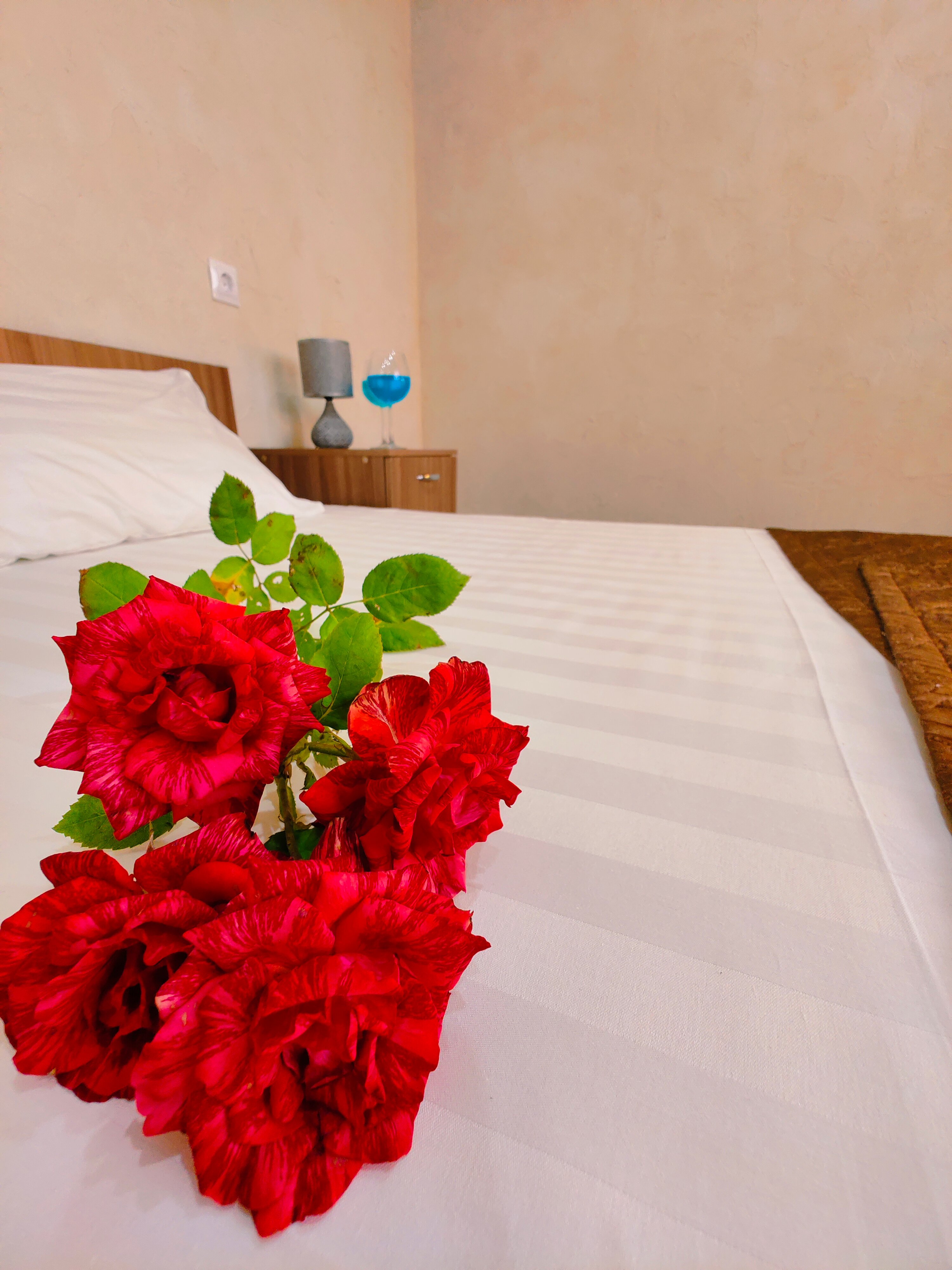 Фото Антарес