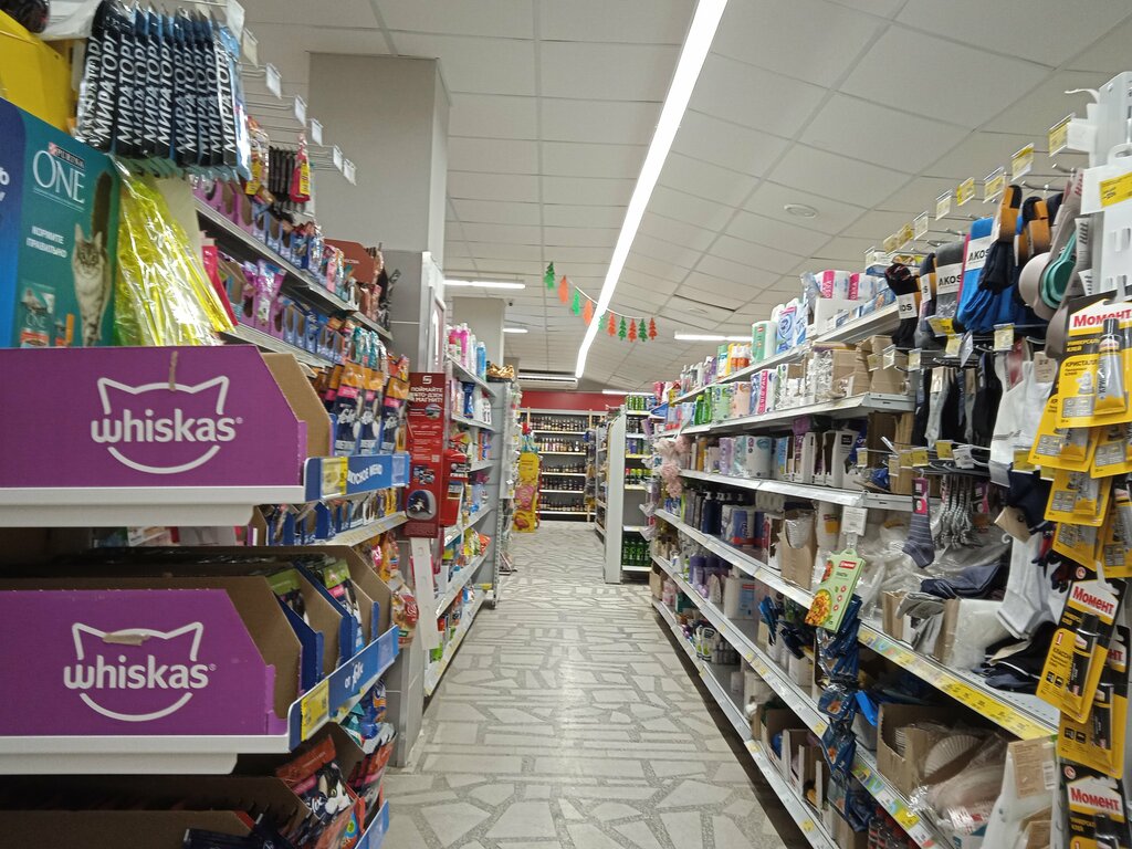 Supermarket Magnit, Perm, photo