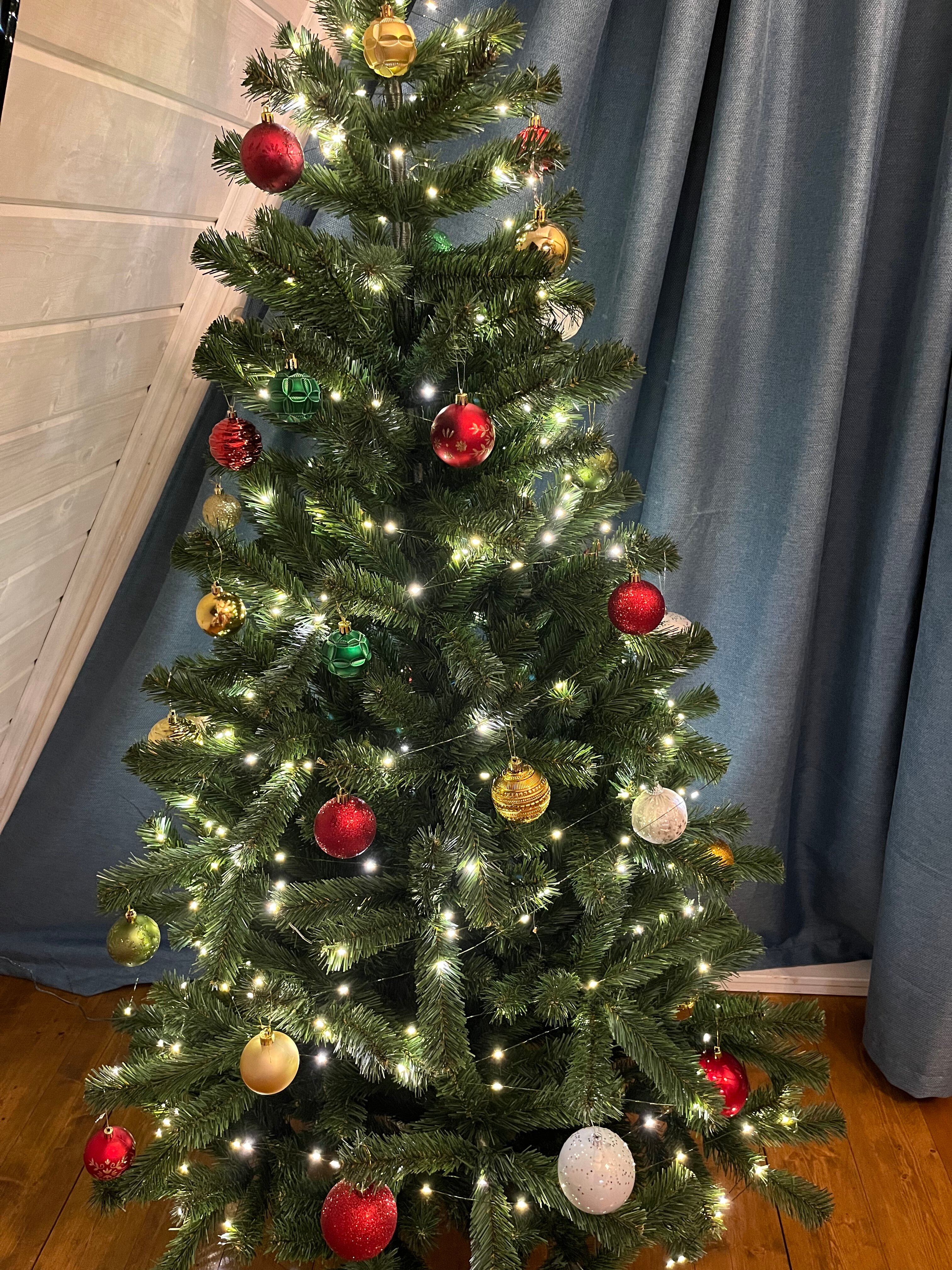 Фото Шишкин Афрейм