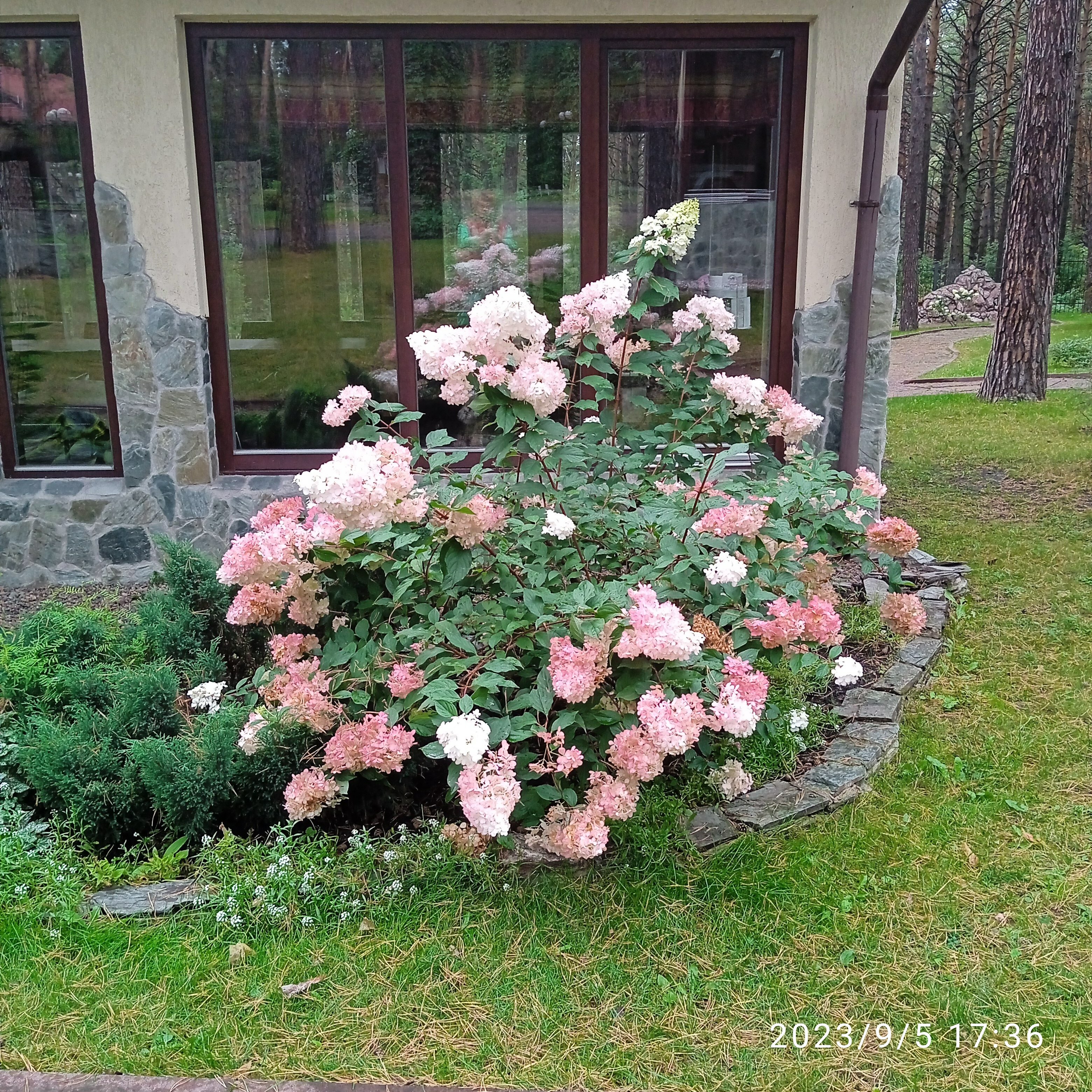 Фото Грааль