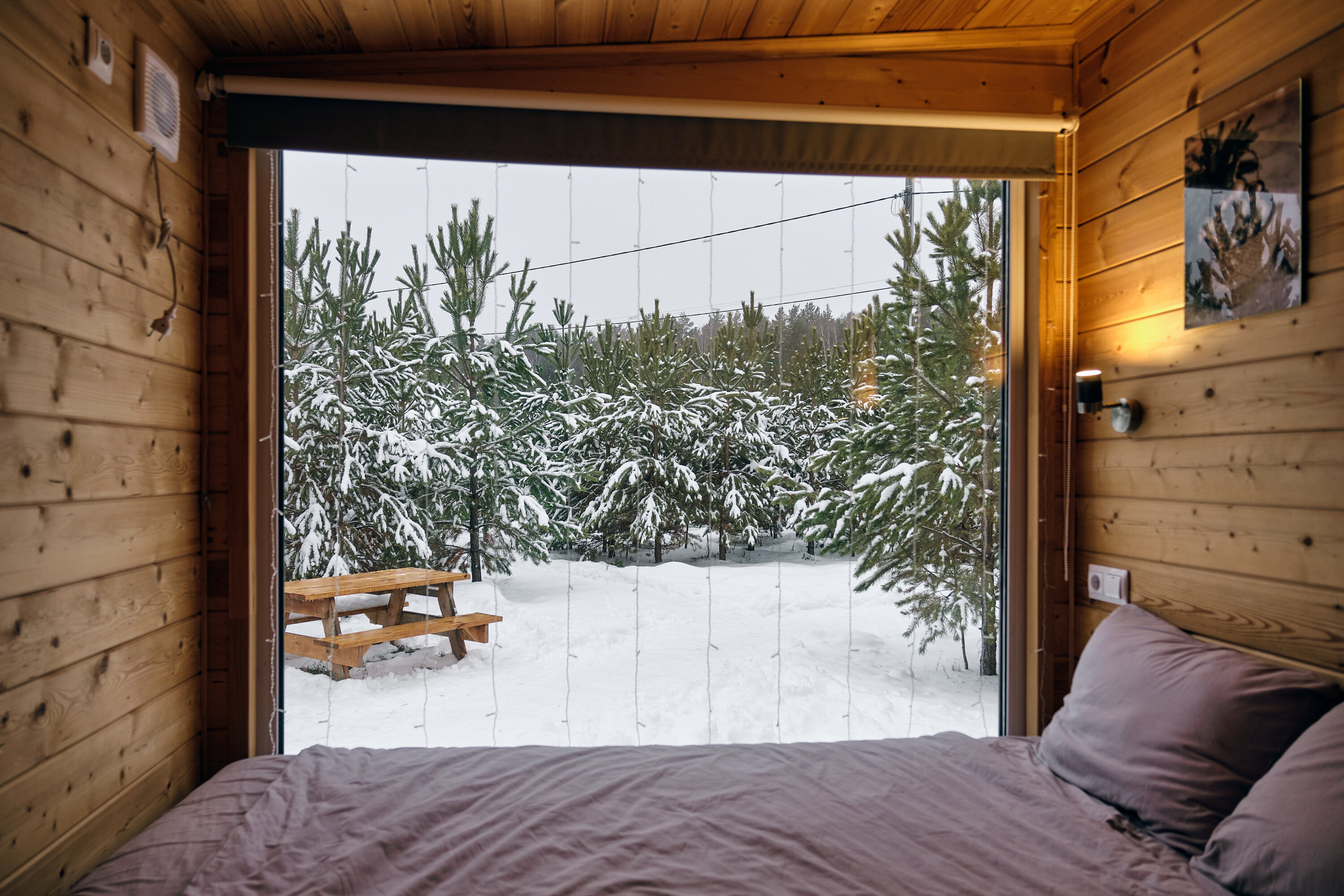 Фото Домик в Ёлках