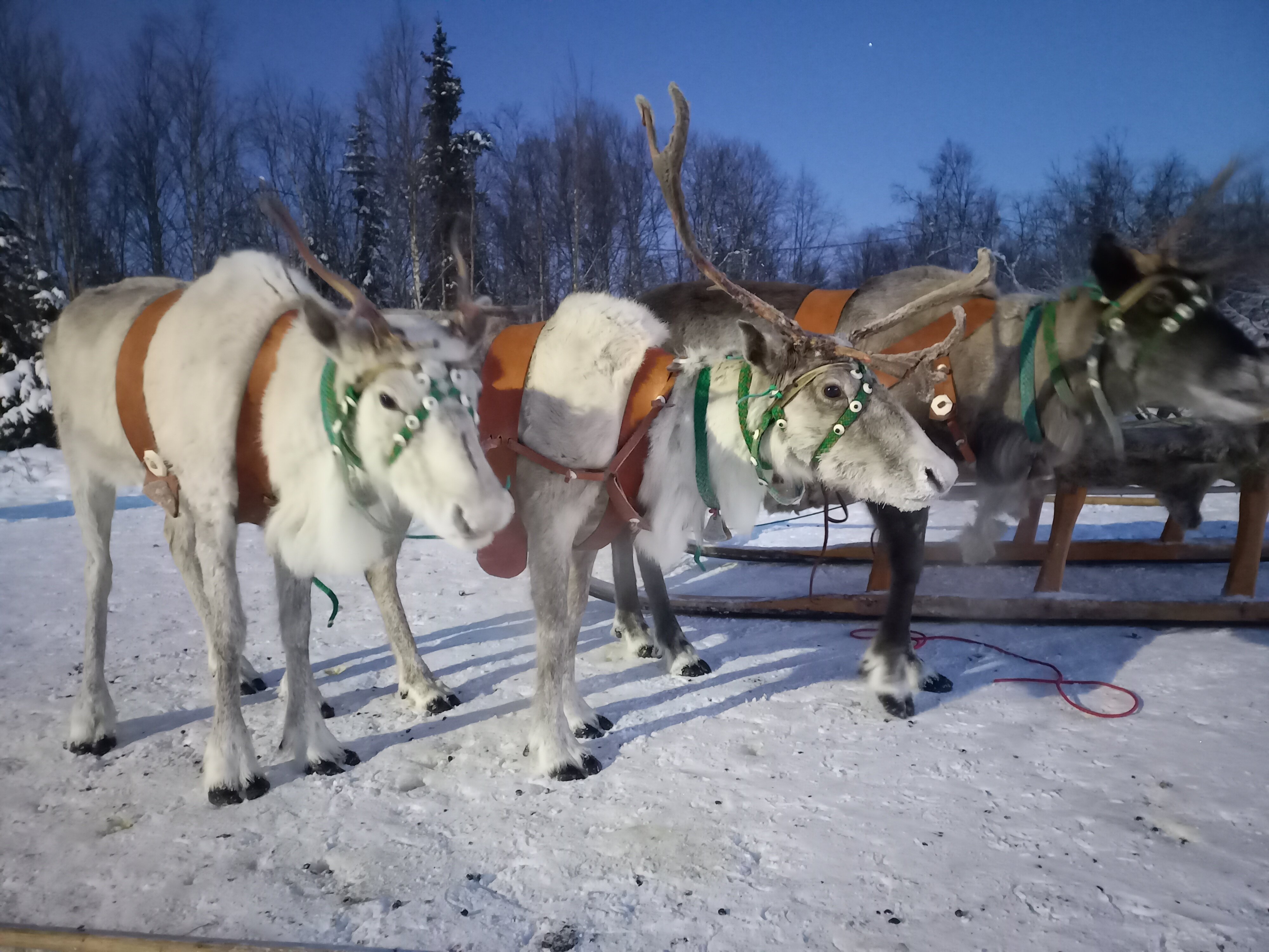 Фото Северное сияние
