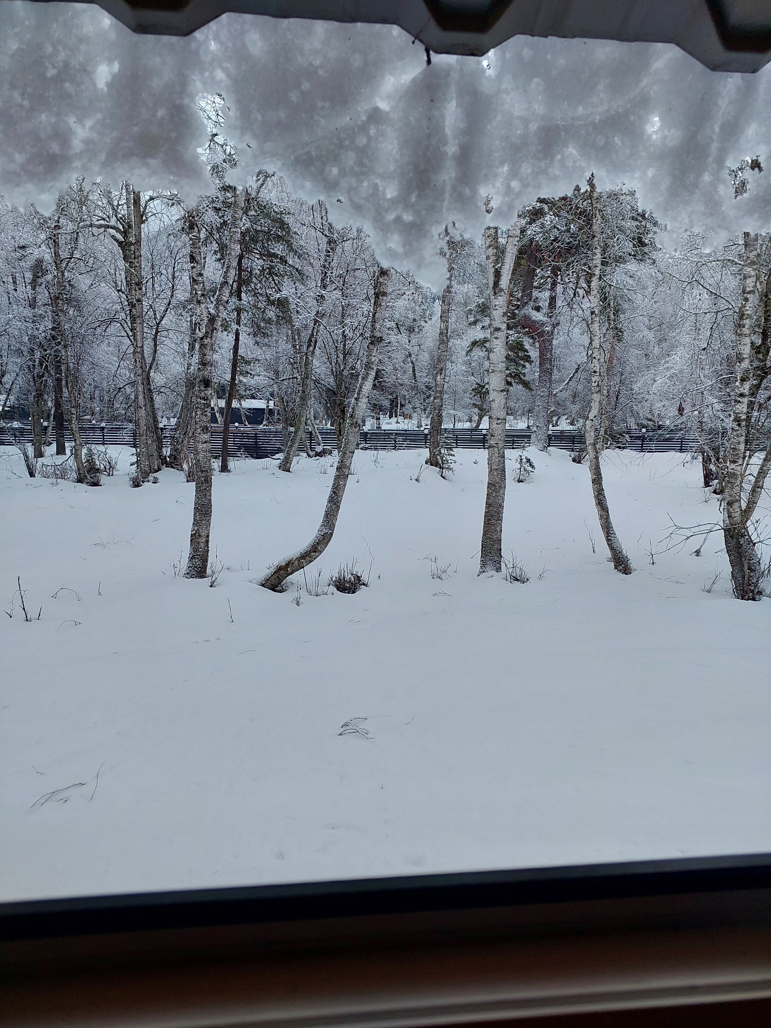 Фото Аксакал