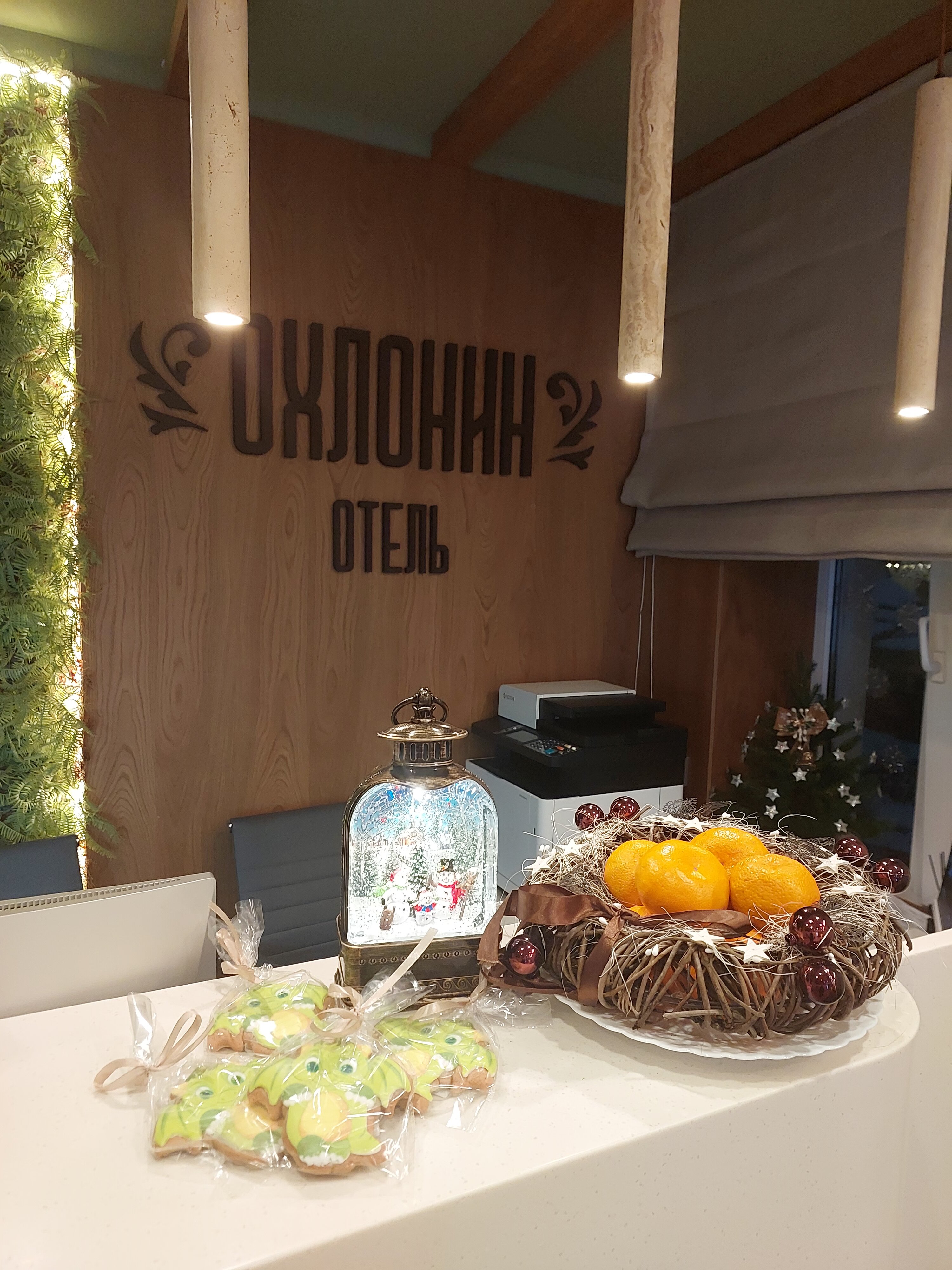 Фото Антиквар-отель мещанина Охлонина