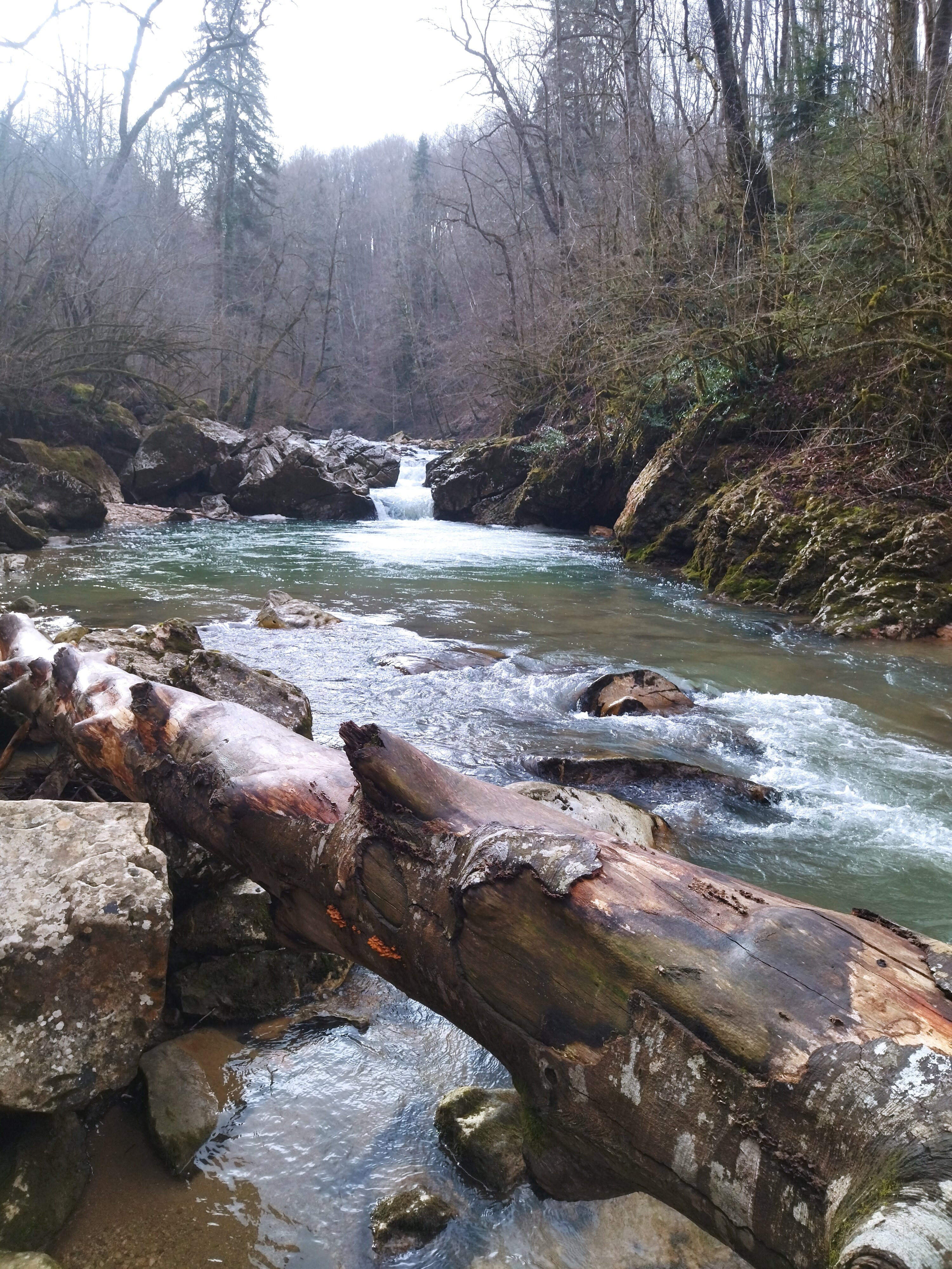 Фото 4 Сезона