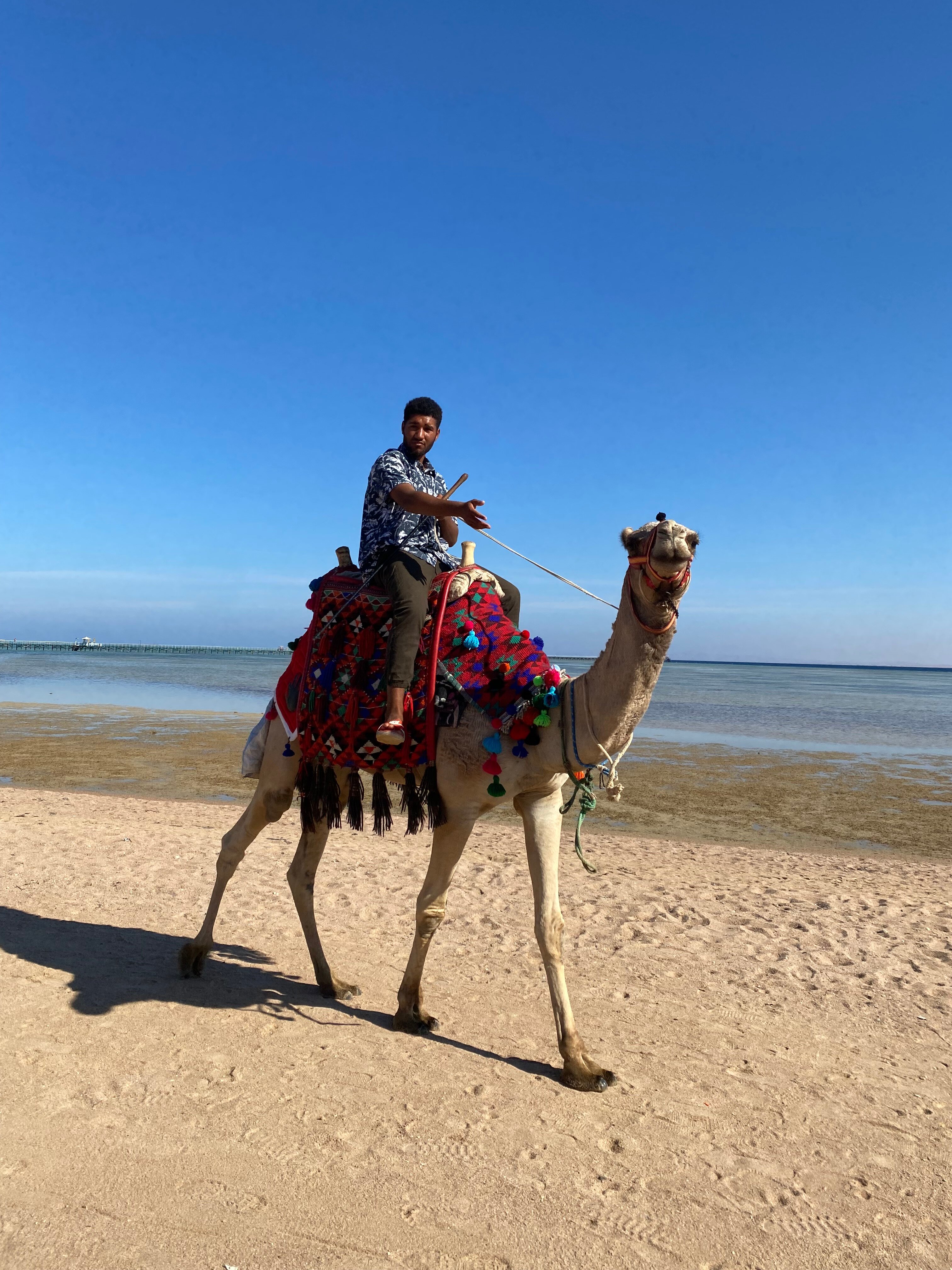 Фото Amwaj Oyoun Resort