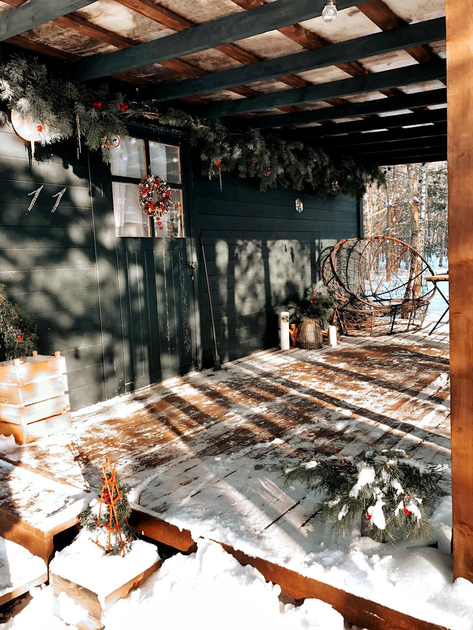 Фото TinyDacha можжевельник