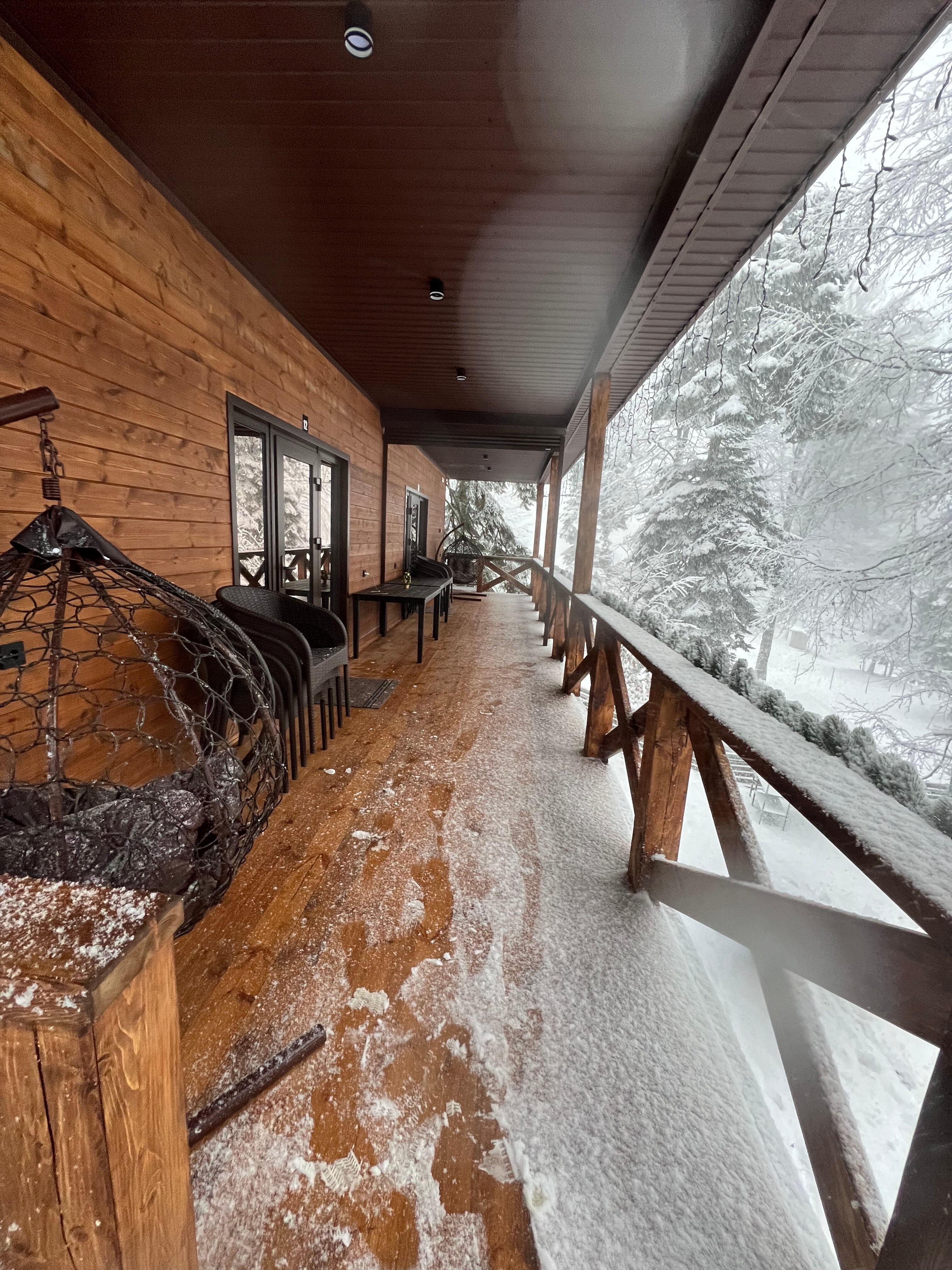 Фото Дубрава