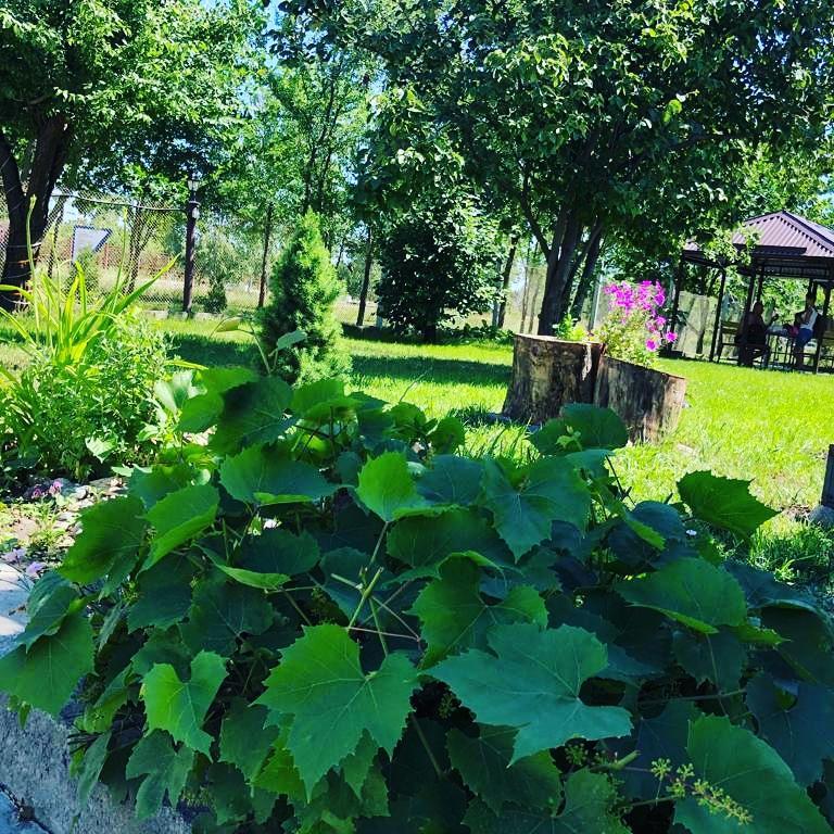 Фото АртОтель