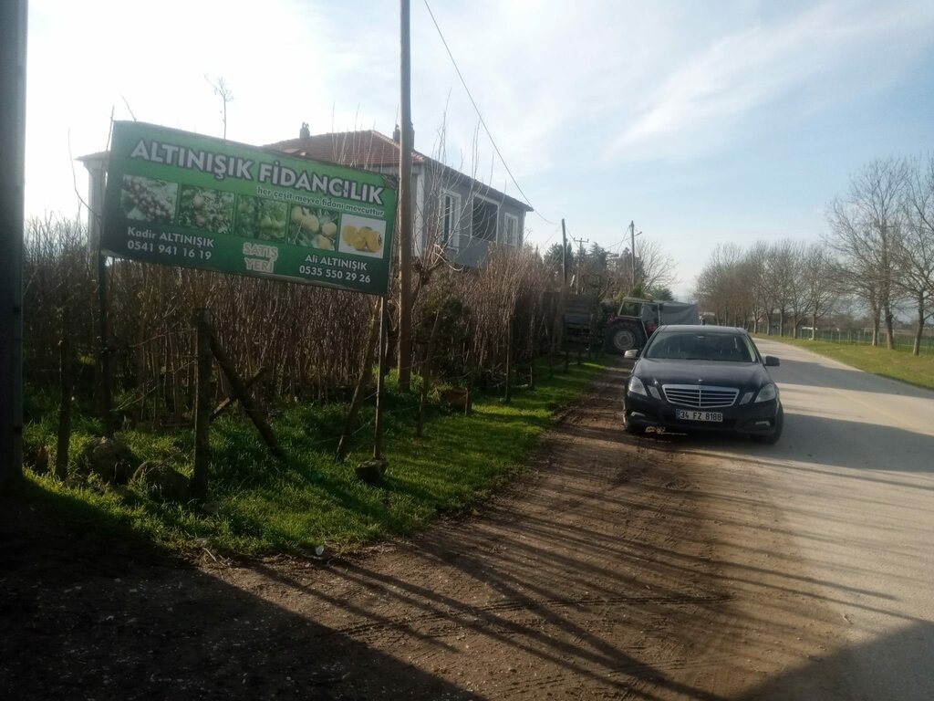 Plant nursery Duzce Fruit Sapling and Poplar, Duzce, photo