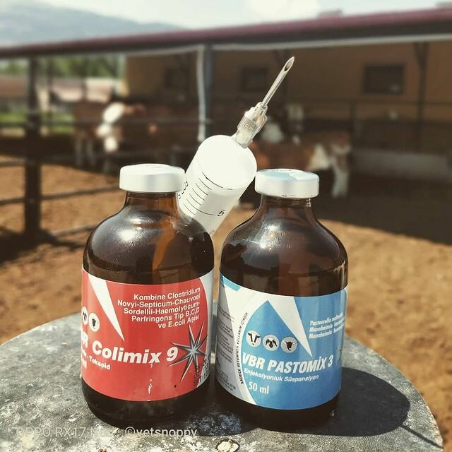 Pharmacy Atafen Veteriner Ecza, Ankara, photo