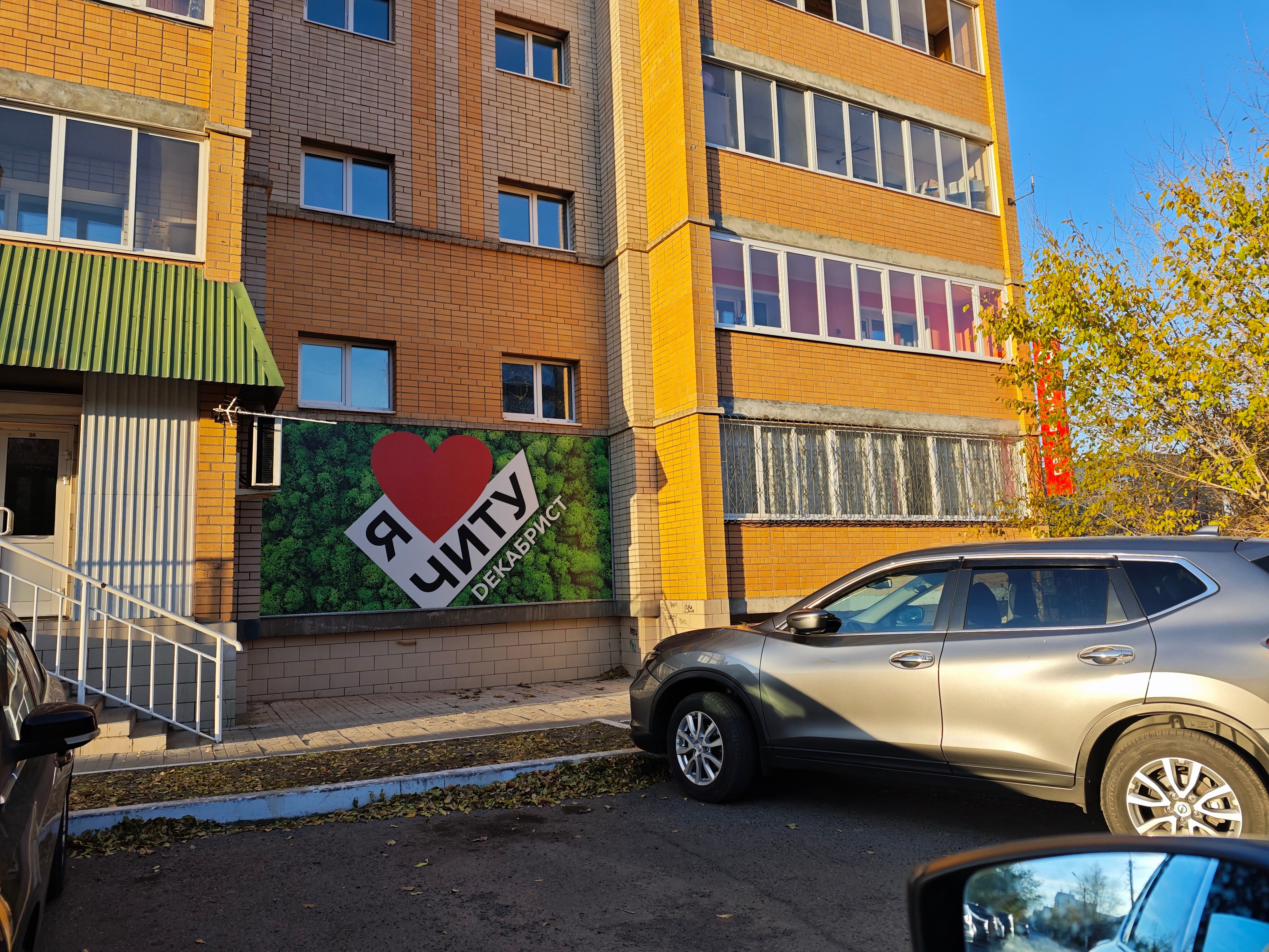 Фото Декабрист