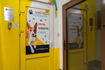IonVet (Serpukhovsky Val Street, 20), veterinary clinic