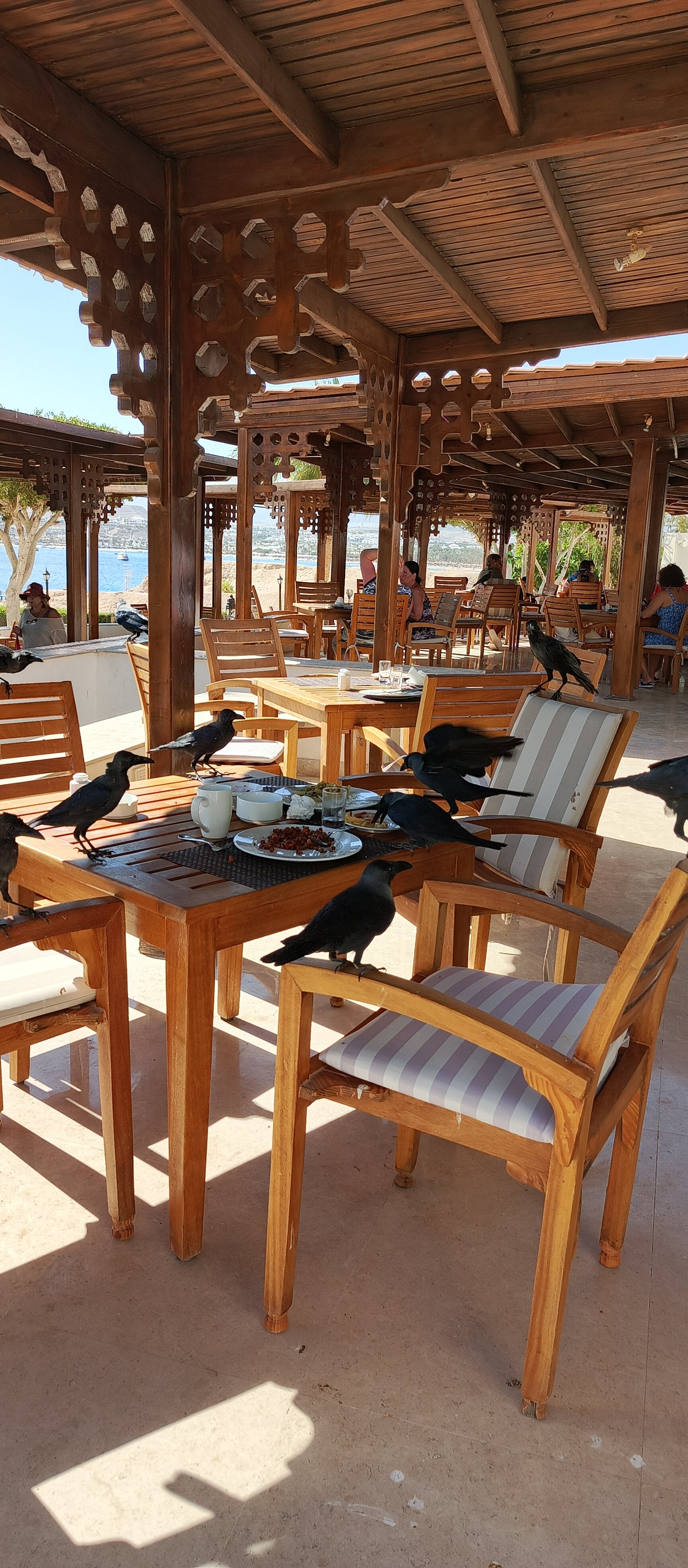 Фото Movenpick Resort Sharm El Sheik 