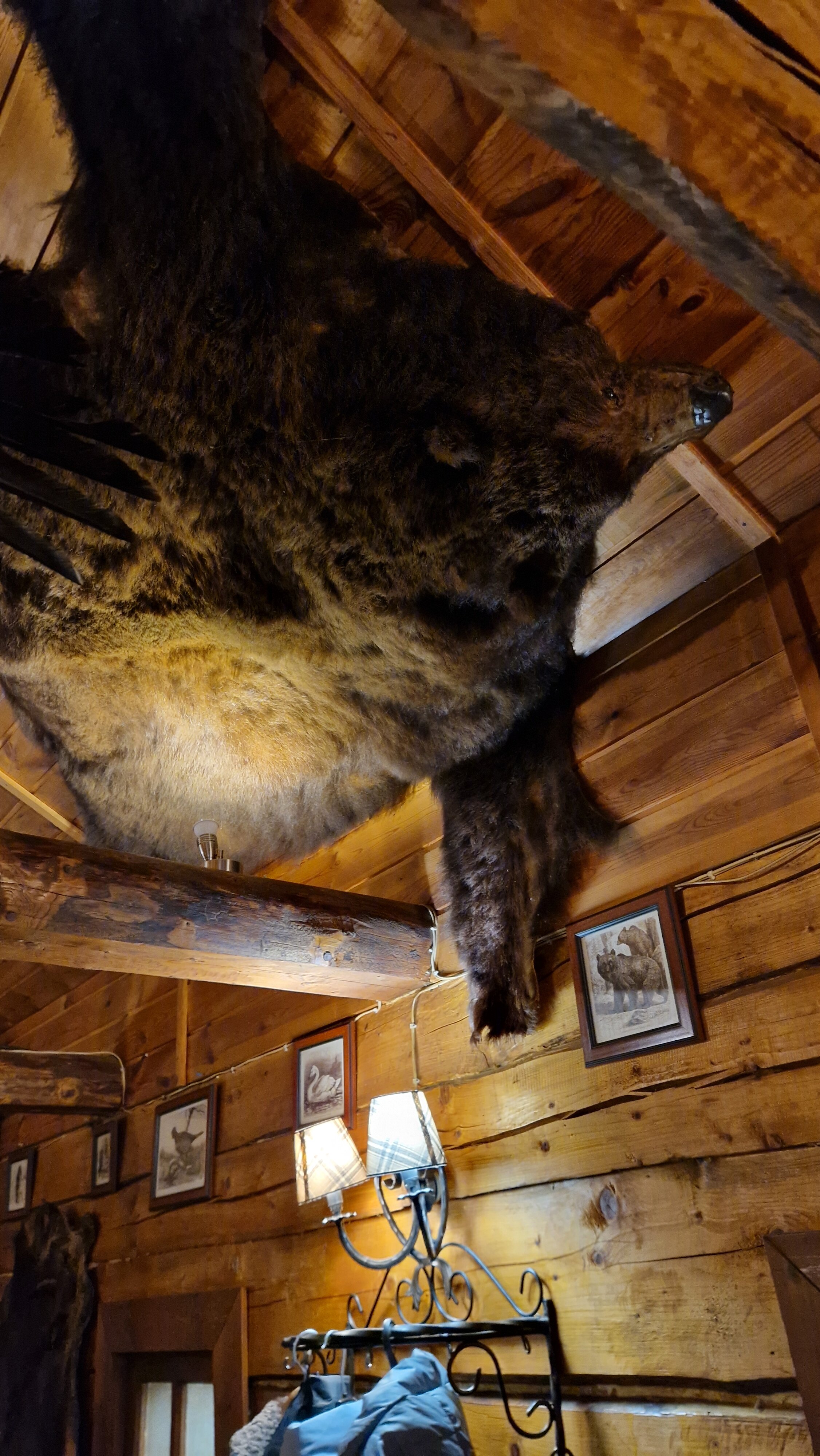 Фото Маёнтак Птичь