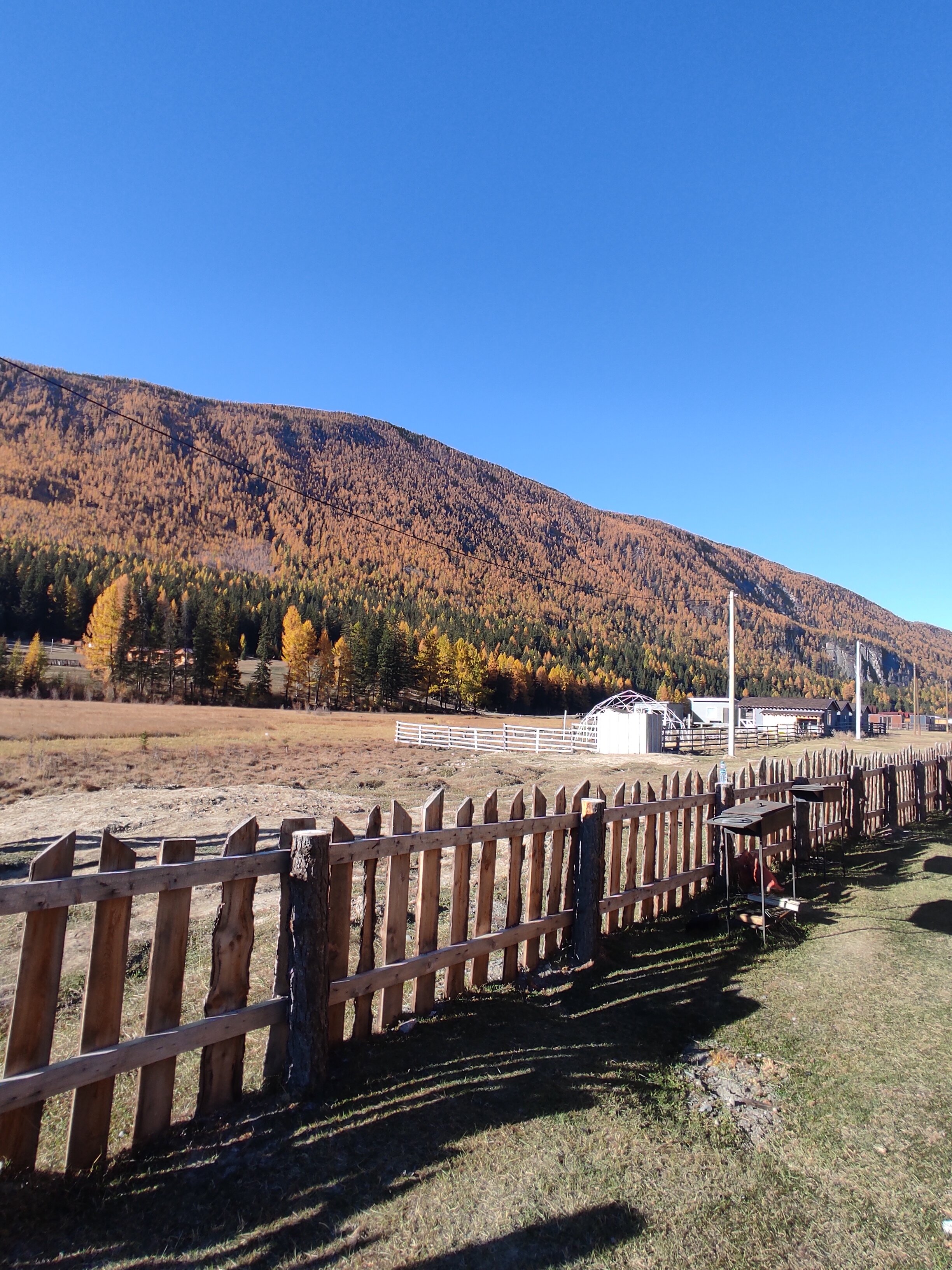 Фото Атмосфера Алтая