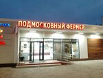 Подмосковный фермер (Sovetskaya Street, 81), grocery