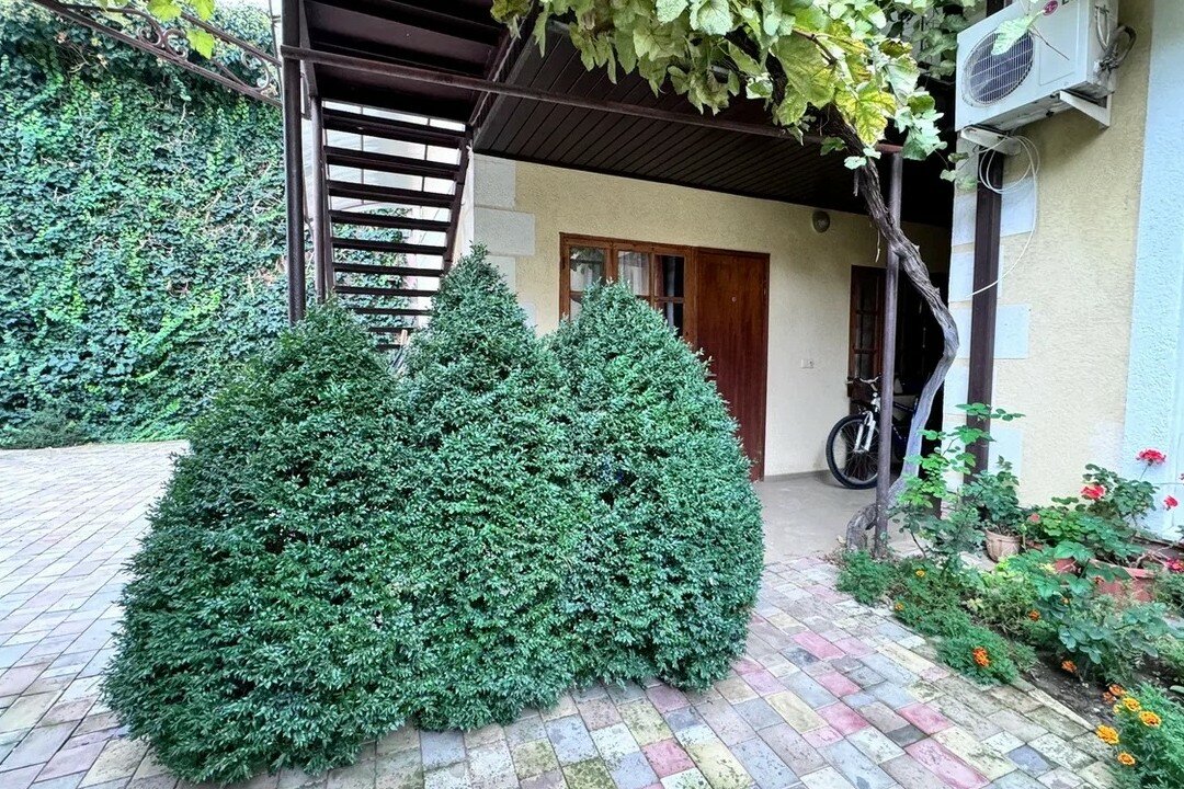 Фото Солнце Тургенева