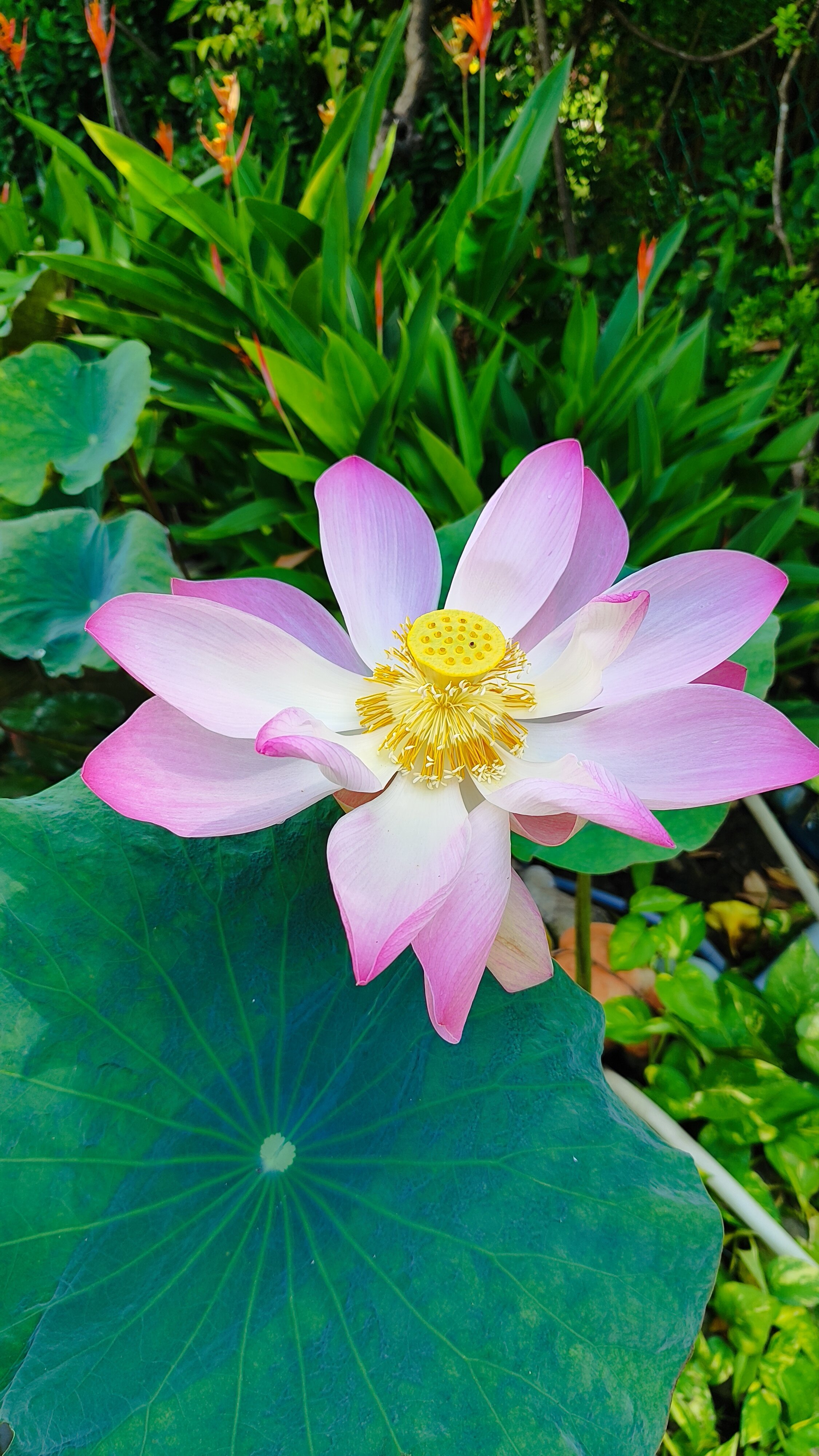 Фото Bao Quynh Bungalow