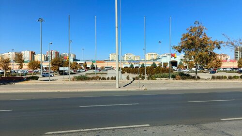 Vega Gümüş Fotoğraf 3