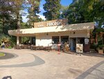 Rioni (Krasnodar Territory, Sochi, Riviera Park, Glavnaya alleya), cafe