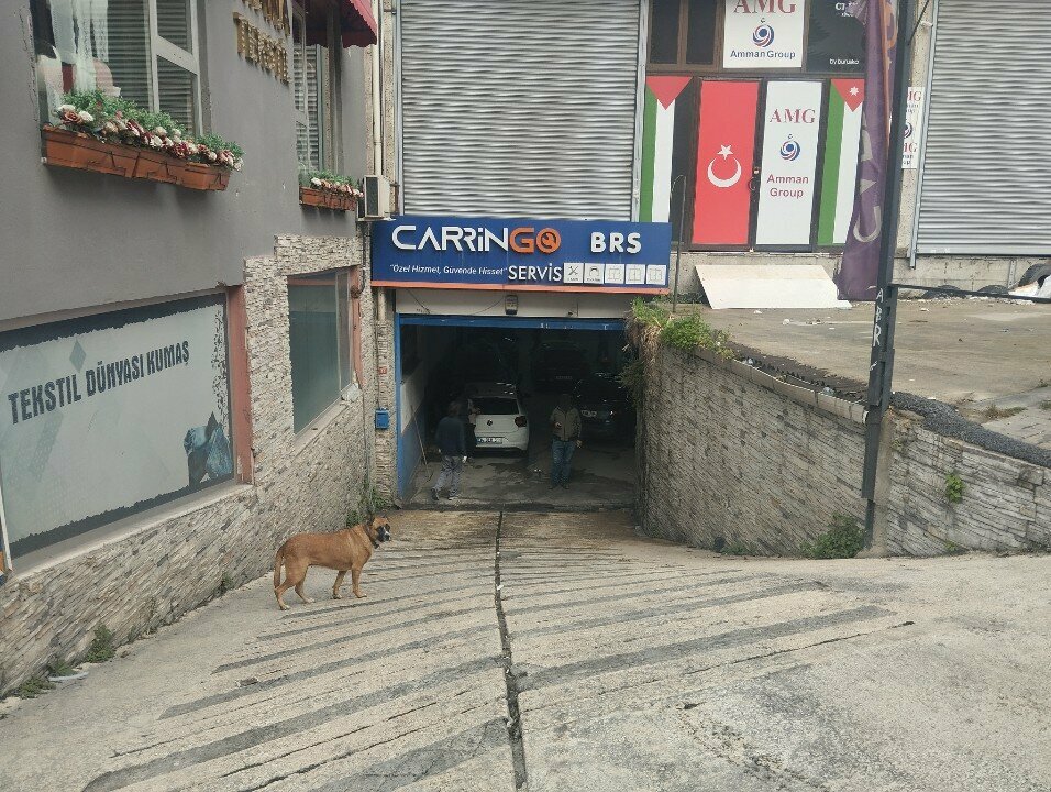 Car service, auto repair Carrin Go Service Brs, Istanbul, photo