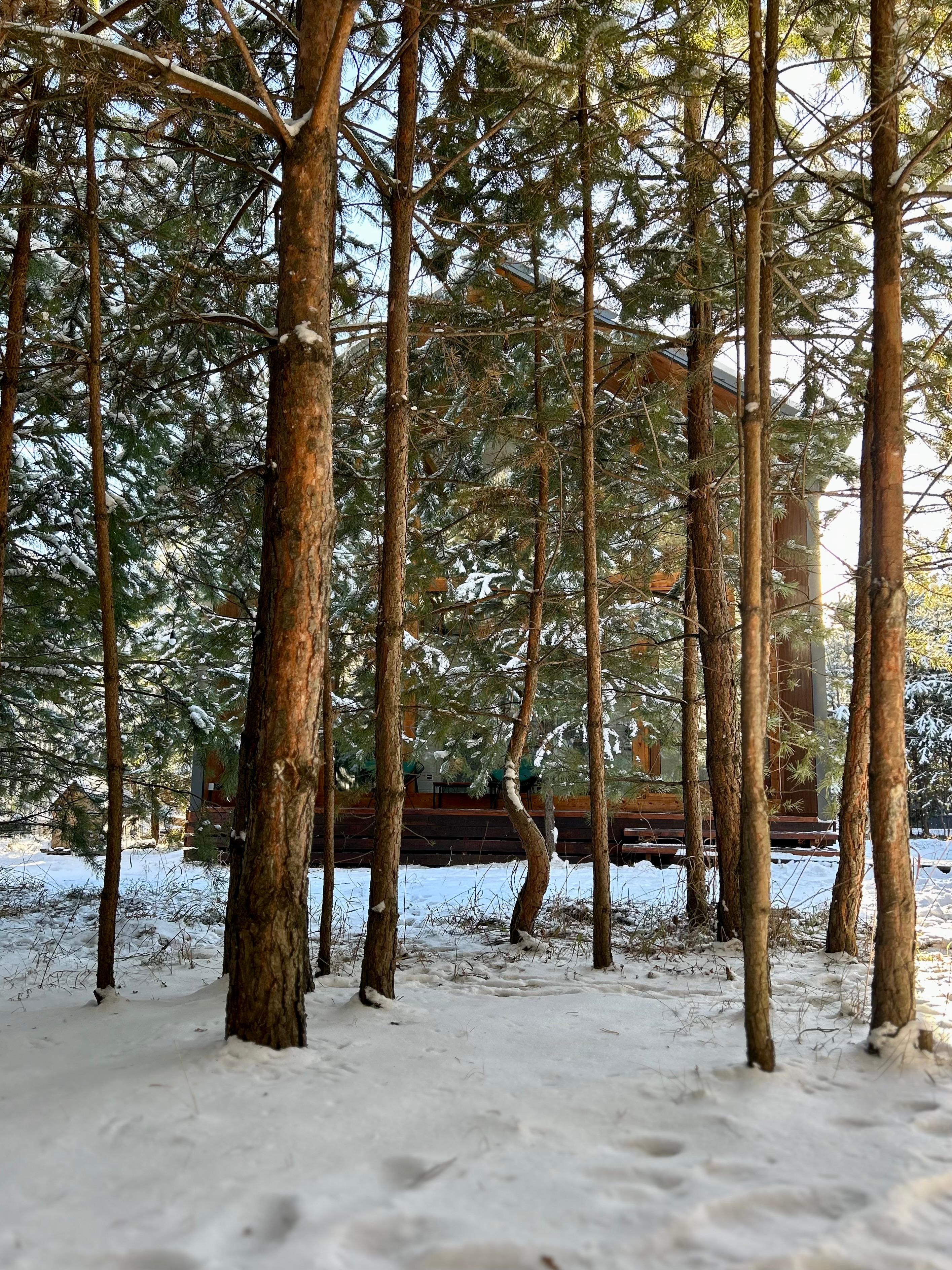 Фото Лу Хаус