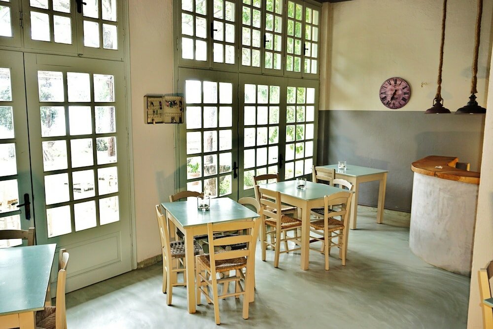 Фото Palia Damouchari