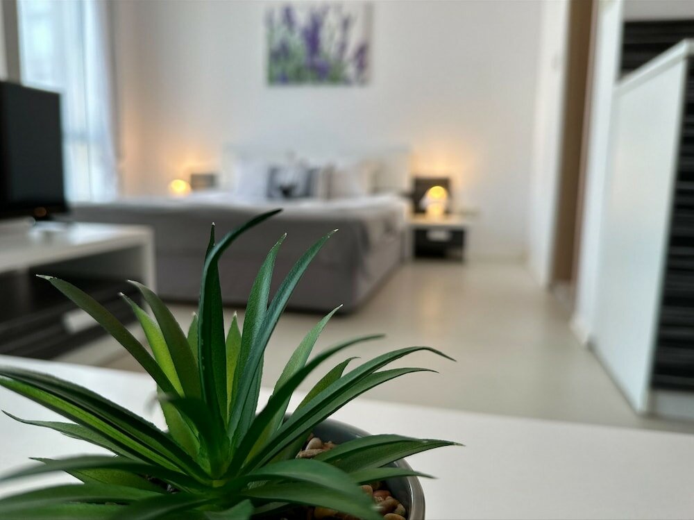 Фото Menada Rainbow Apartments