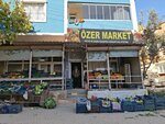 Ozer Food (Gaziantep, Sahinbey District, Guzelvadi Neighborhood, 91004th Street, 21), food manufacturers