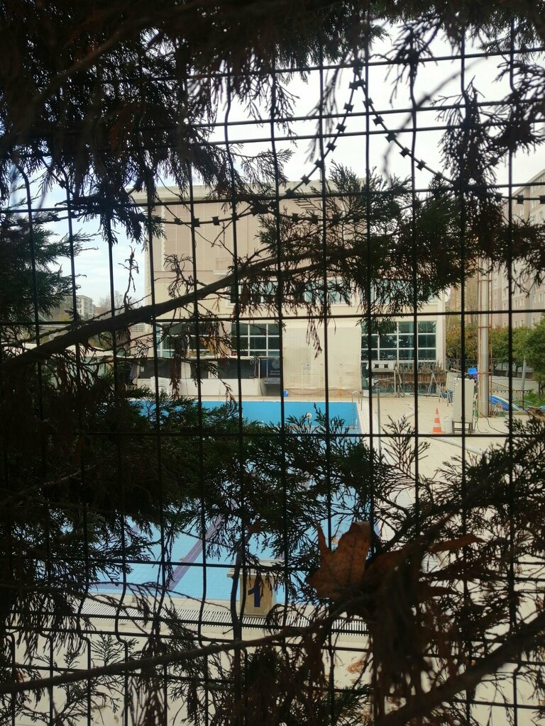 Бассейн Beylikdüzü Yüzme Kulübü, Стамбул, фото