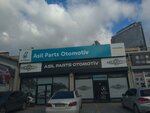 Asil Parts Auto (İstanbul, Esenyurt, Koza Mah., 1698. Sok., 4), auto parts and auto goods store