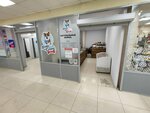 Мечта Собаки (Akademika Knipovicha Street, 37) ، متجر للحيوانات الأليفة