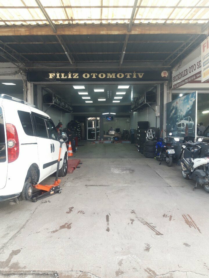 Tires and wheels Filiz Automotive, Izmir, photo