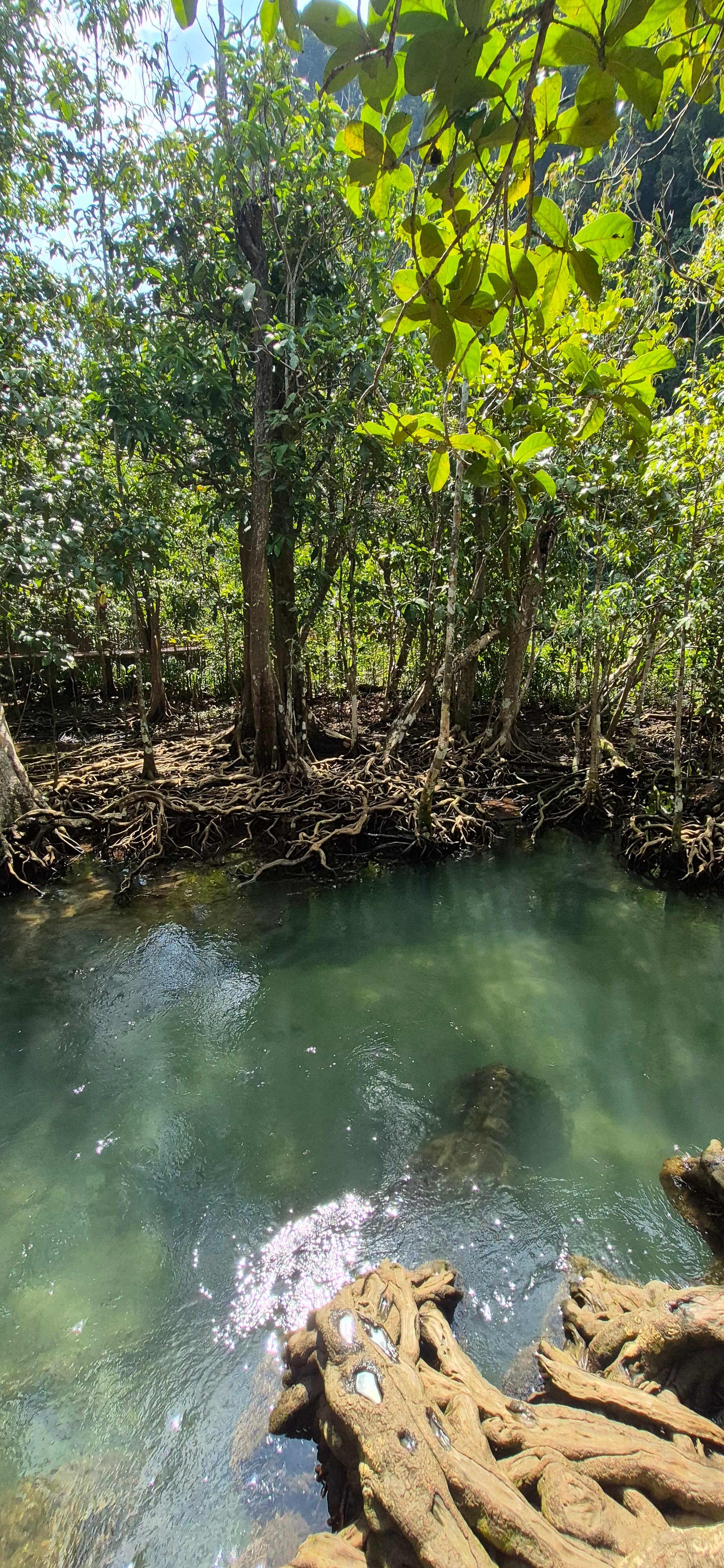 Фото Sunsuri Villas