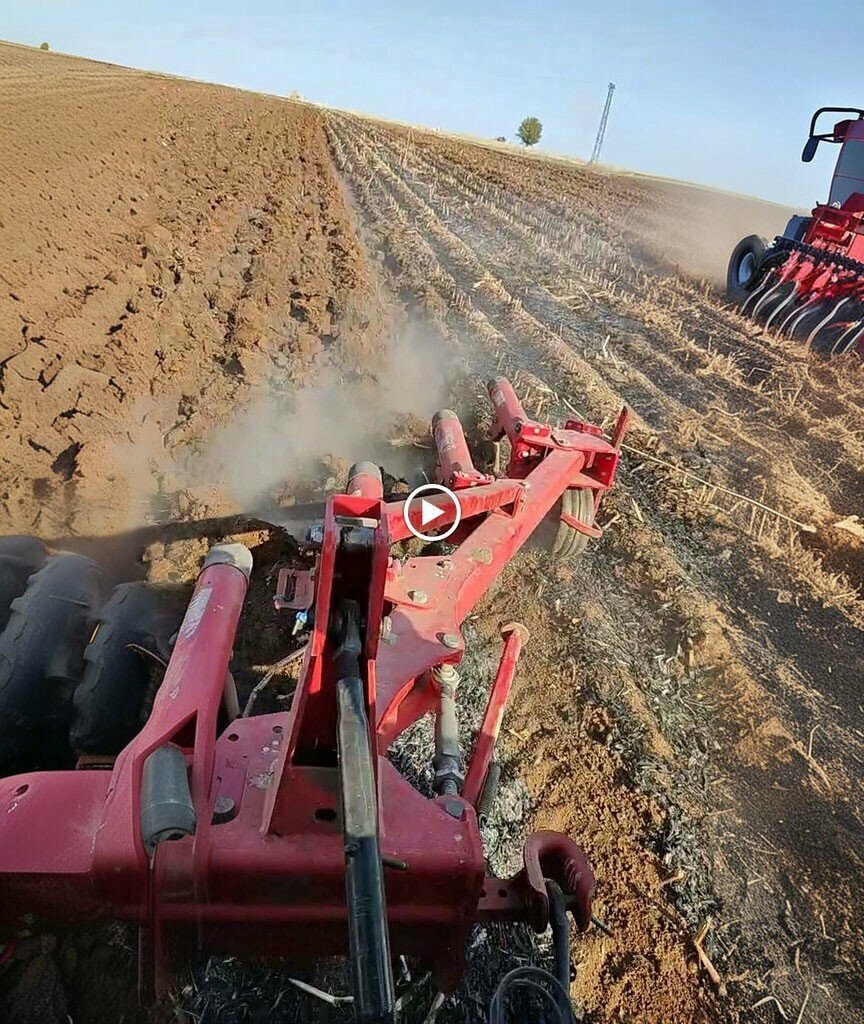 Primary school Yukari Tasyalak Primary School, Ceylanpinar, photo
