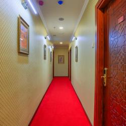 Фото Shah Palas Hotel