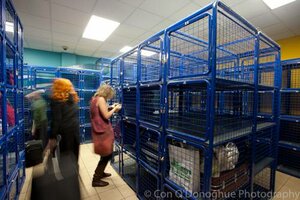 Хостел Jacobs Inn Hostel