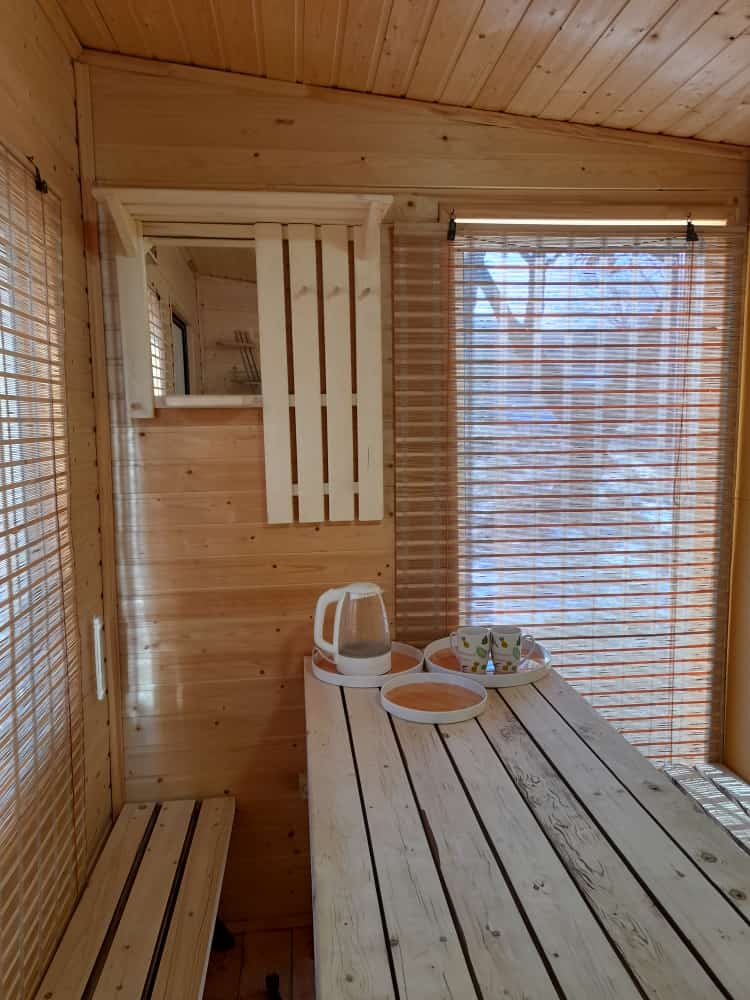 Фото Лазурная черепаха