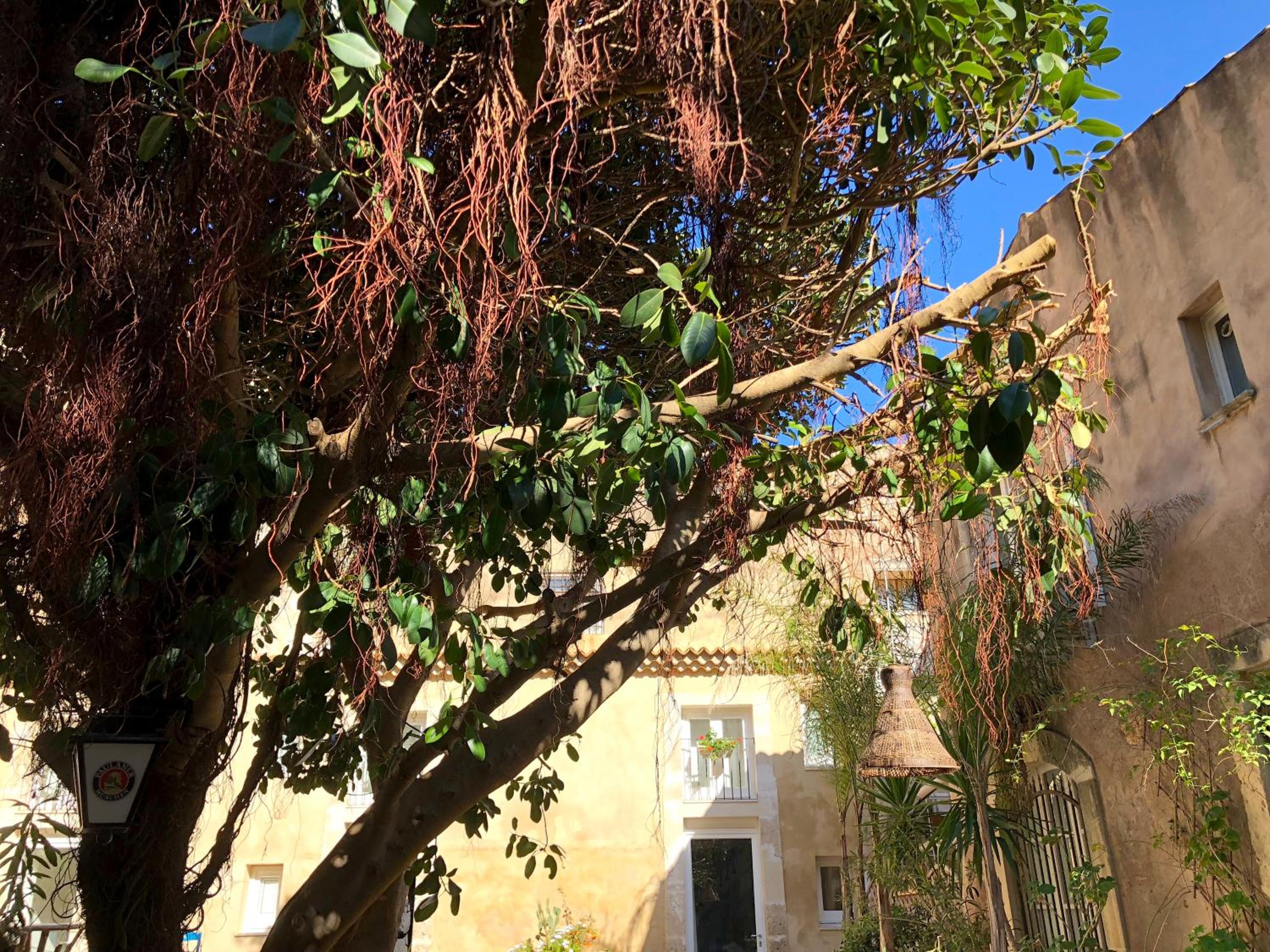 Фото Residence Ortigia